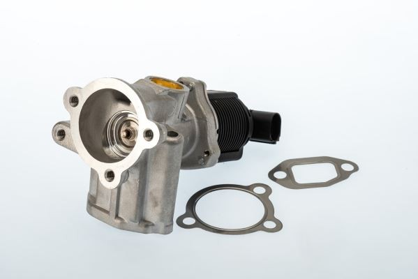 WAHLER Egr Valfi FIAT, OPEL