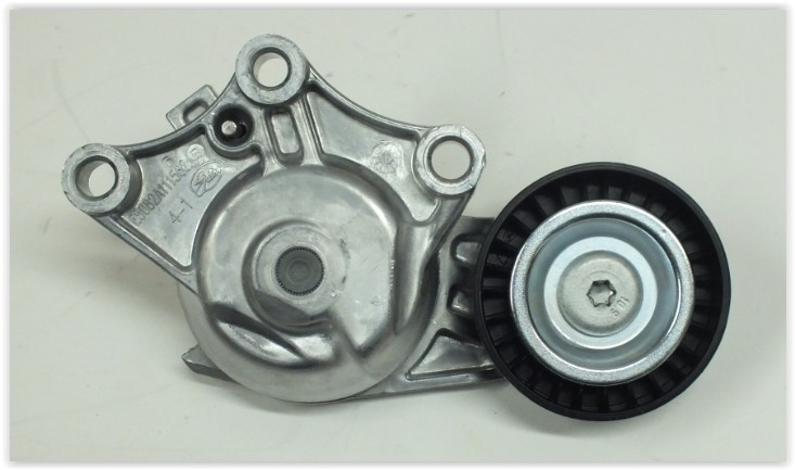 Alternator Gergi Rulmanı P308 C3 Ds3 09 P508 P3008 P5008 C4 C5 Berlingo Ds4 10 P208 12 1.6 Hdi