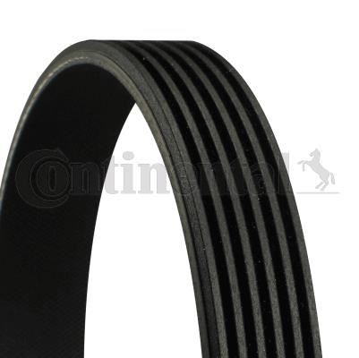 CONTITECH V Kayış Seti AUDI, BMW, CITROËN, MITSUBISHI, PEUGEOT, VOLKSWAGEN