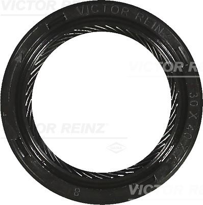 V.reinz Keçe Mercedes-Benz