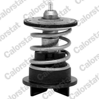 Termostat 89 C Volkswagen Passat B7 11-14
