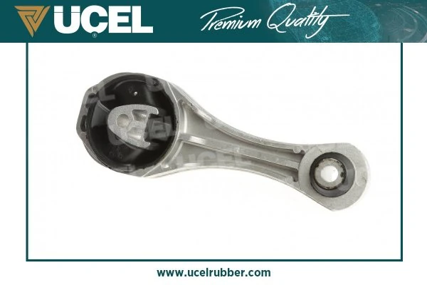 Motor Takozu Arka Kangoo III 08> Tüm Motor Ti̇pleri̇