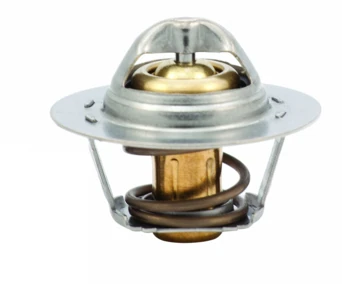 Termostat 89 C Megane I-II-R19-Clio II-Kangoo-Laguna I-II 1.4-1.6-1.8-1.9 D-2.0