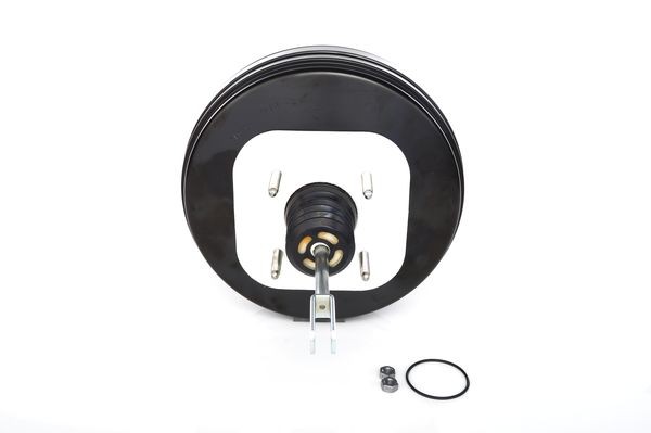 Bosch Westinghouse Ford