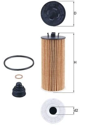 Yağ Filtresi BMW B37 B38 B47 B46 B48 F52 F70 F45 F46 F74 F78 F48 U11 F39 . Mini F54 F55 F56 F57 F60