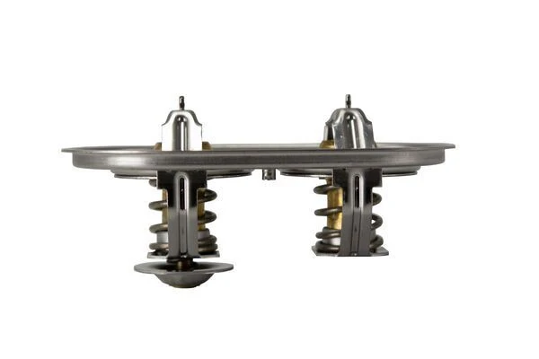 Termostat Thermostat Insert