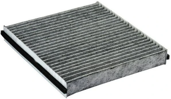 Polen Fi̇ltresi̇ Laguna II 1.6-1.8-2.0 01 1.9 Dci 01 Karbonlu