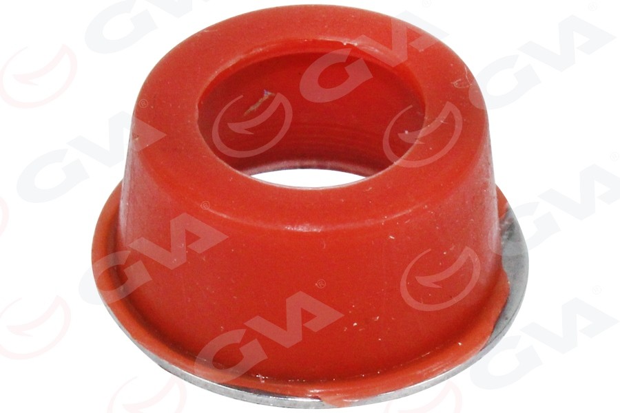 GVA Manifold BMW