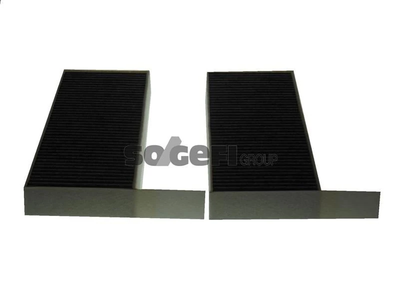 Polen Fi̇ltresi̇ Astra L 21> P308 II-III 13> P508 18> Karbonlu