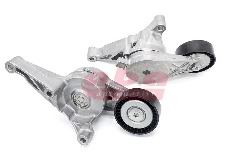 Alternatör Gergi̇ Rulmanı Caddy-T5-Golf5-Jetta-Passat 1.9-2.0 TDI Axb-Bjb-Bkc-Bls-Bxe
