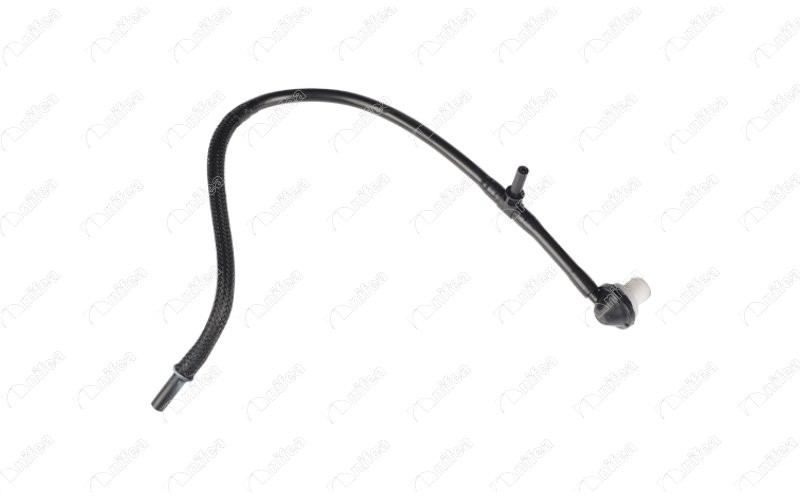 Westinghouse Borusu Ford Transi̇t V 184 2.4 Tdci 01 06