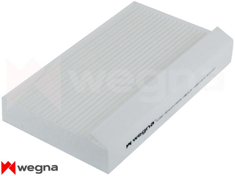 Polen Fi̇ltresi̇ Renault Megane III 08> Scenic III 08> Fluence 09>