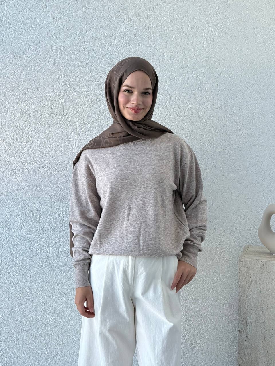 Bisiklet Yaka Basıc Triko Kazak DLN 10633 - Vizon