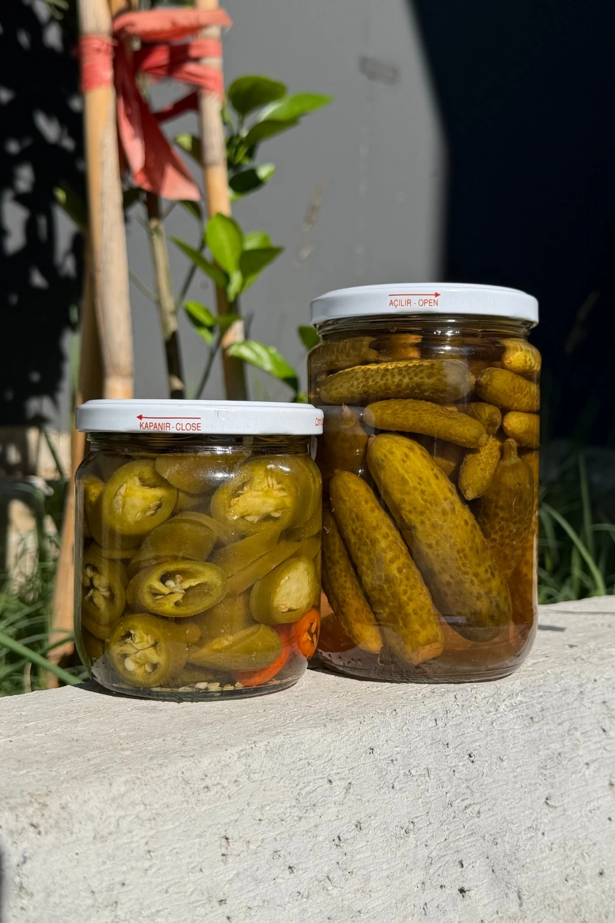 Jalepeno + Kornişon Turşu 2'li paket