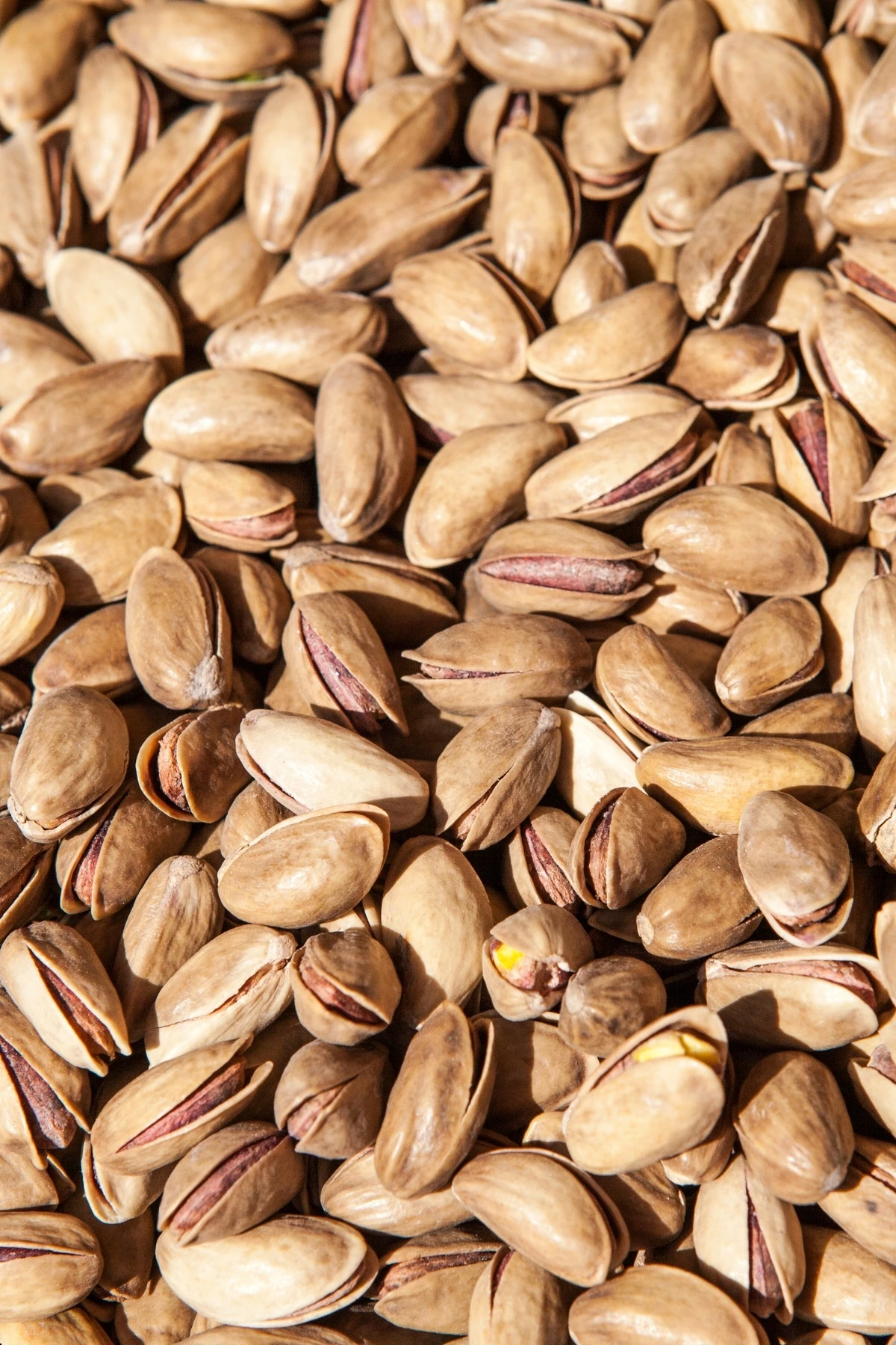 Antep Fıstığı (500 gr)