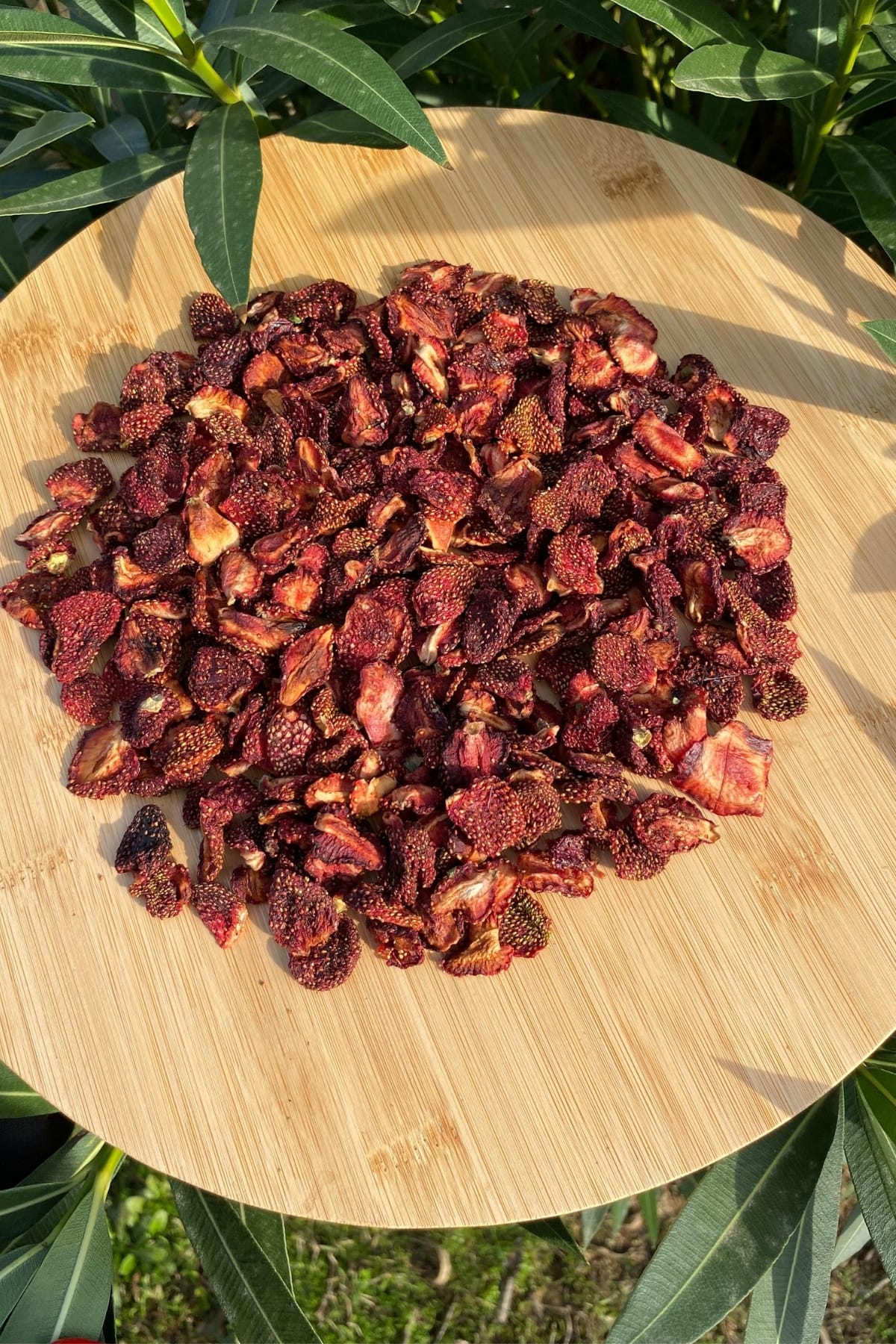 Çilek Kurusu 100 gr