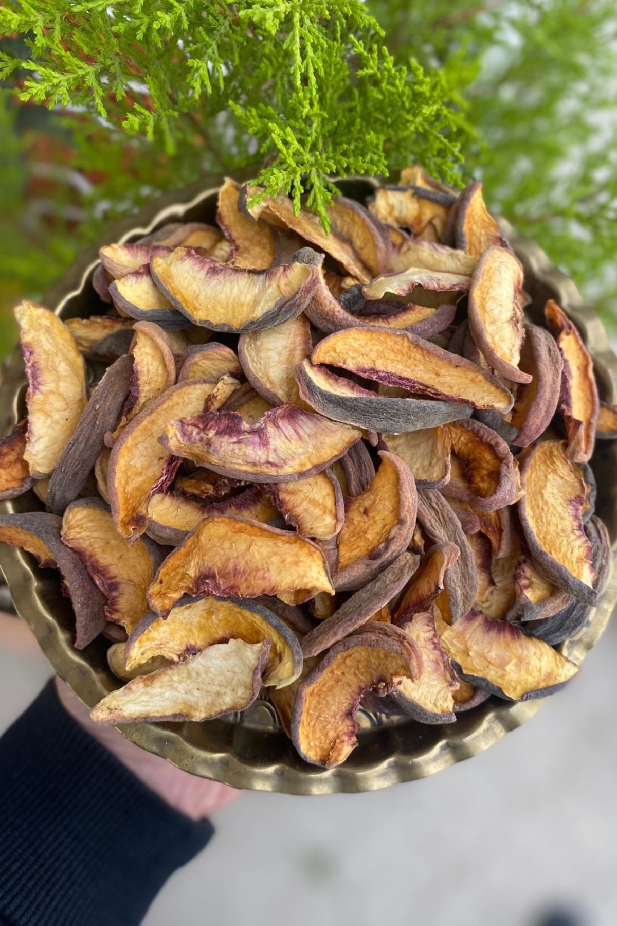 Şeftali kurusu (100gr)