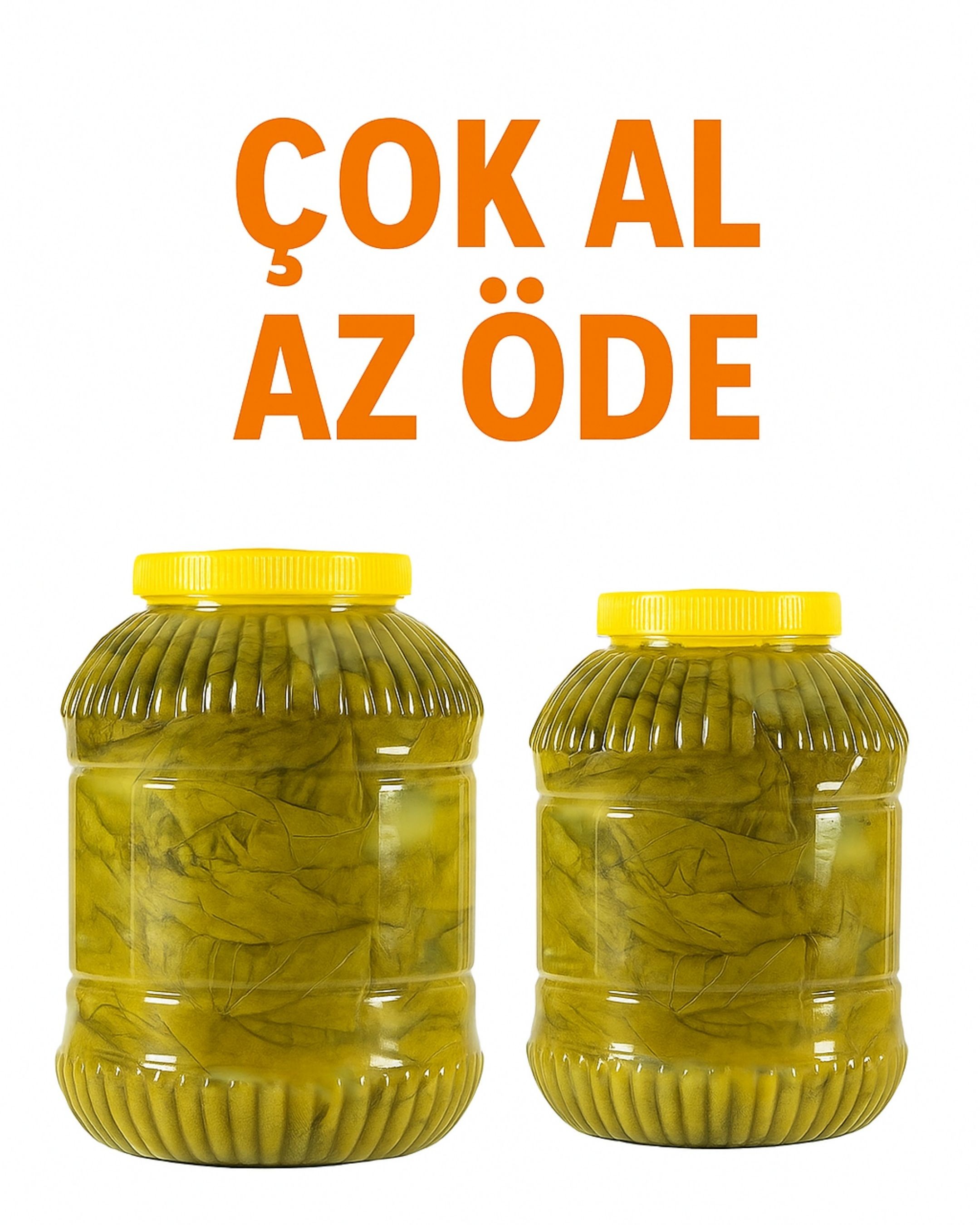 2'li Salamura Yaprak 5 Kg pet (3-3,5 kg)