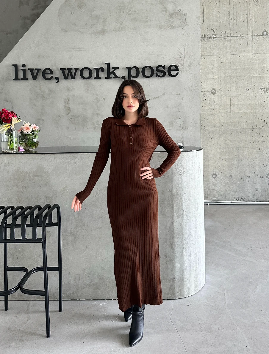 POLO YAKA DÜĞMELİ ELBİSE