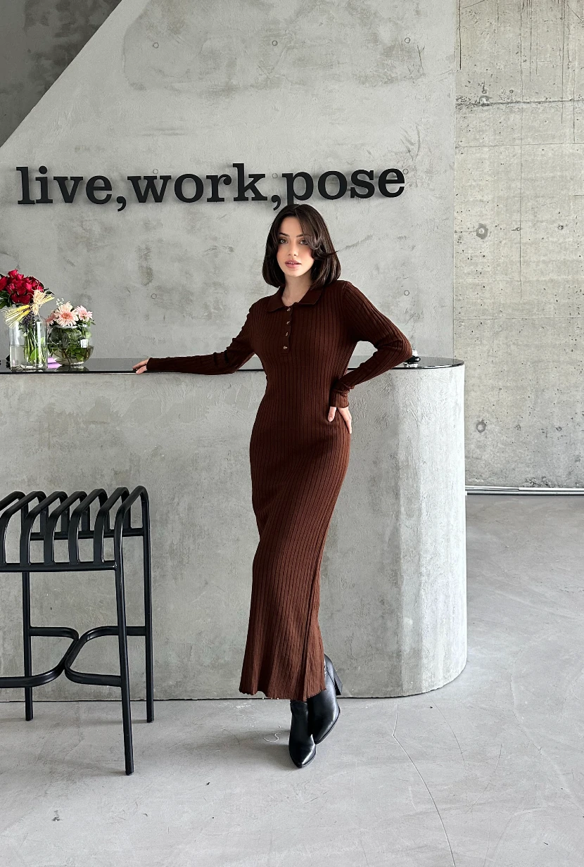 POLO YAKA DÜĞMELİ ELBİSE