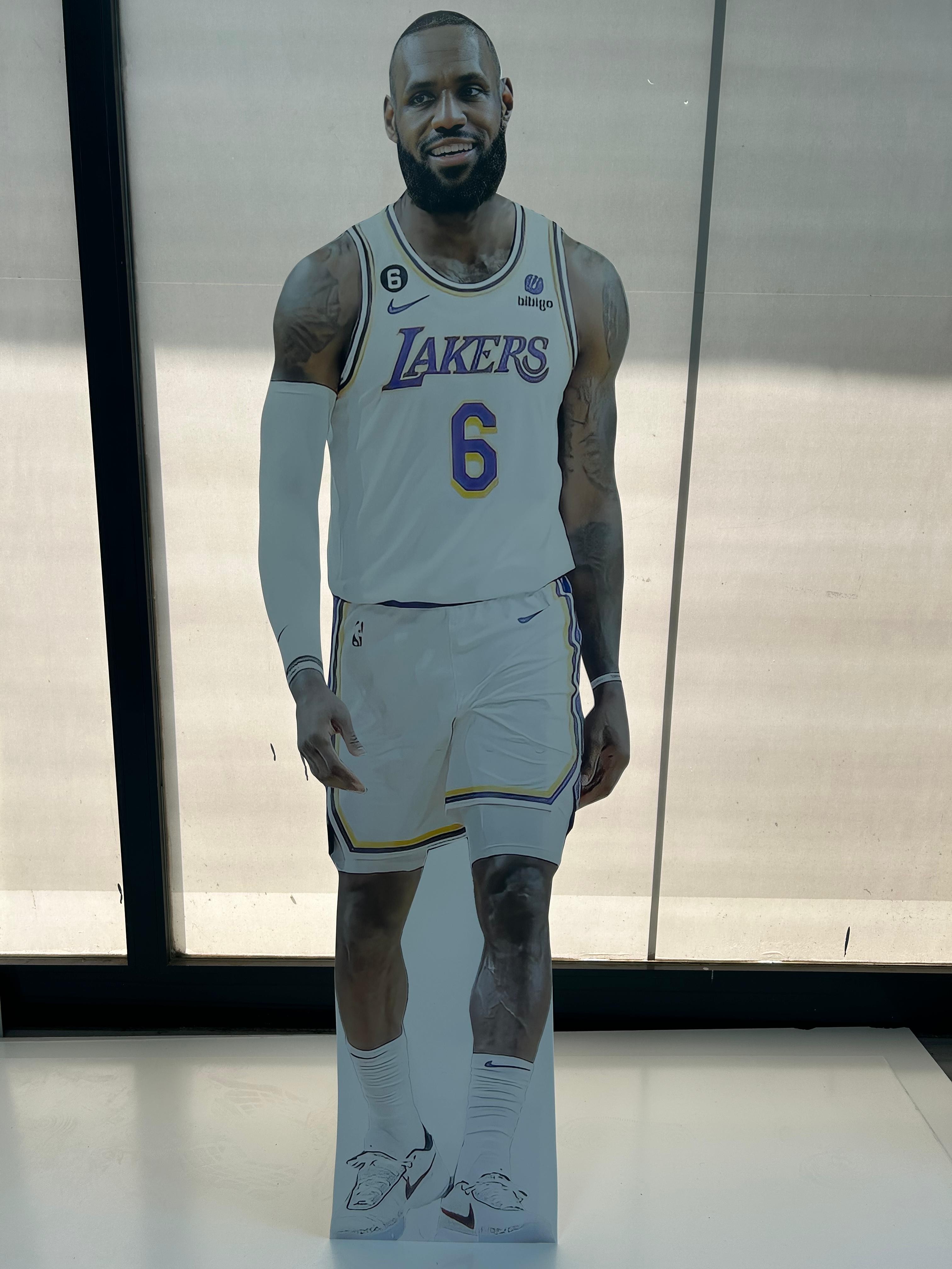 LeBron James Cardboard Cutouts Model Standee LeBron James Basketball Player Mockup