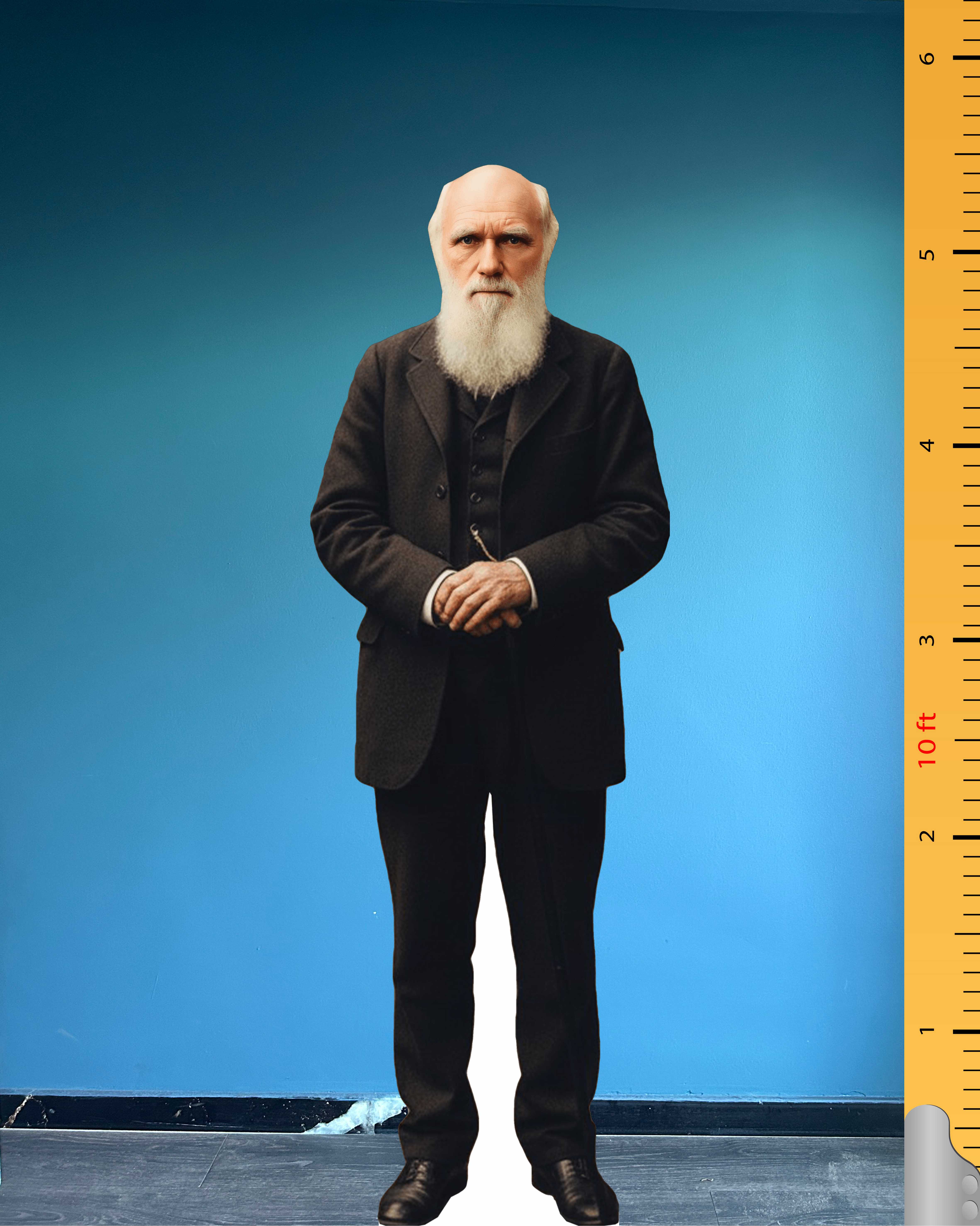 🧬 Charles Darwin Life Size Cardboard Cutout – Iconic British Geologist & Naturalist Standee for Educational Displays