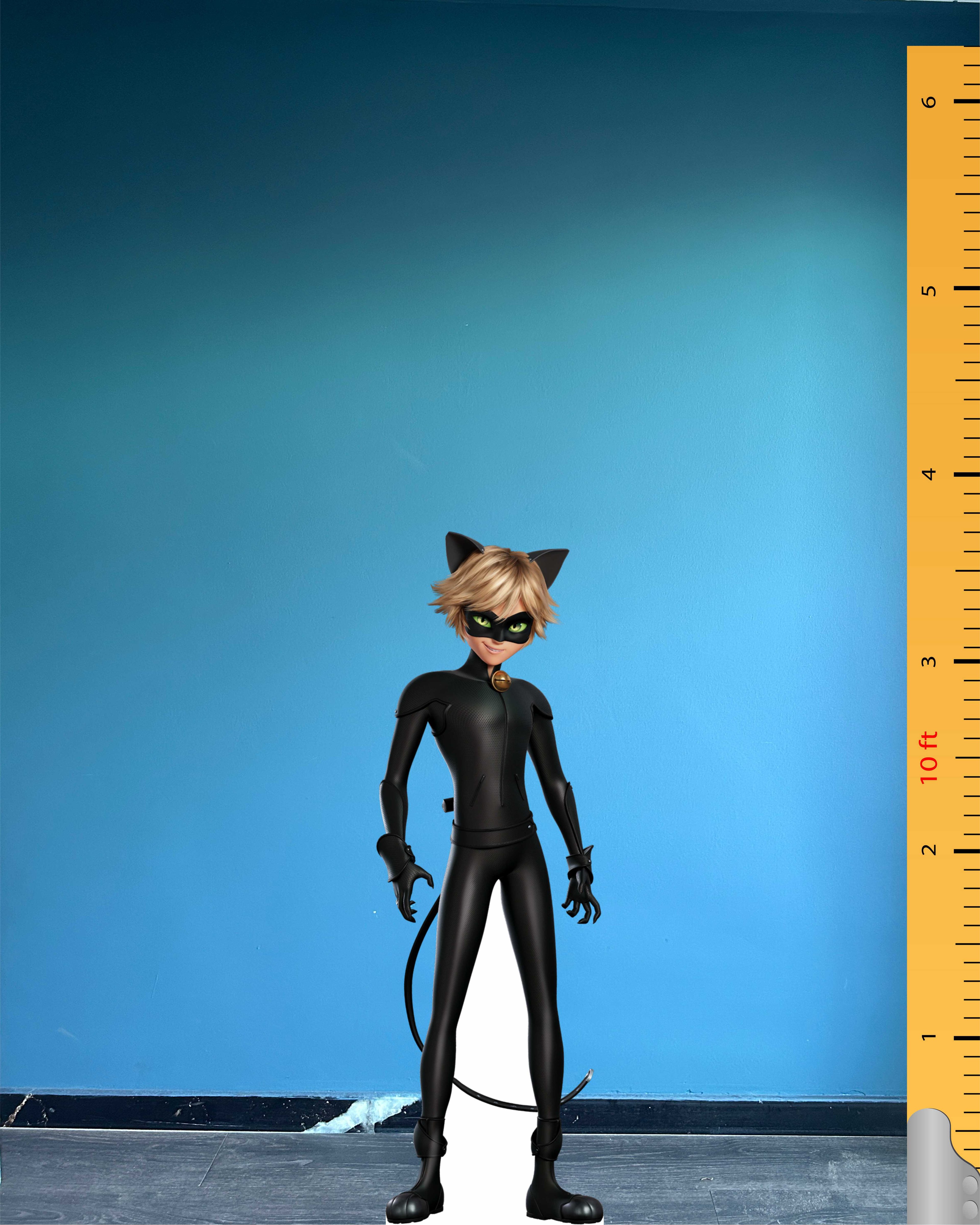 Cat Noir Cardboard Cutout Model Fictional Character Plastic Standee Figure