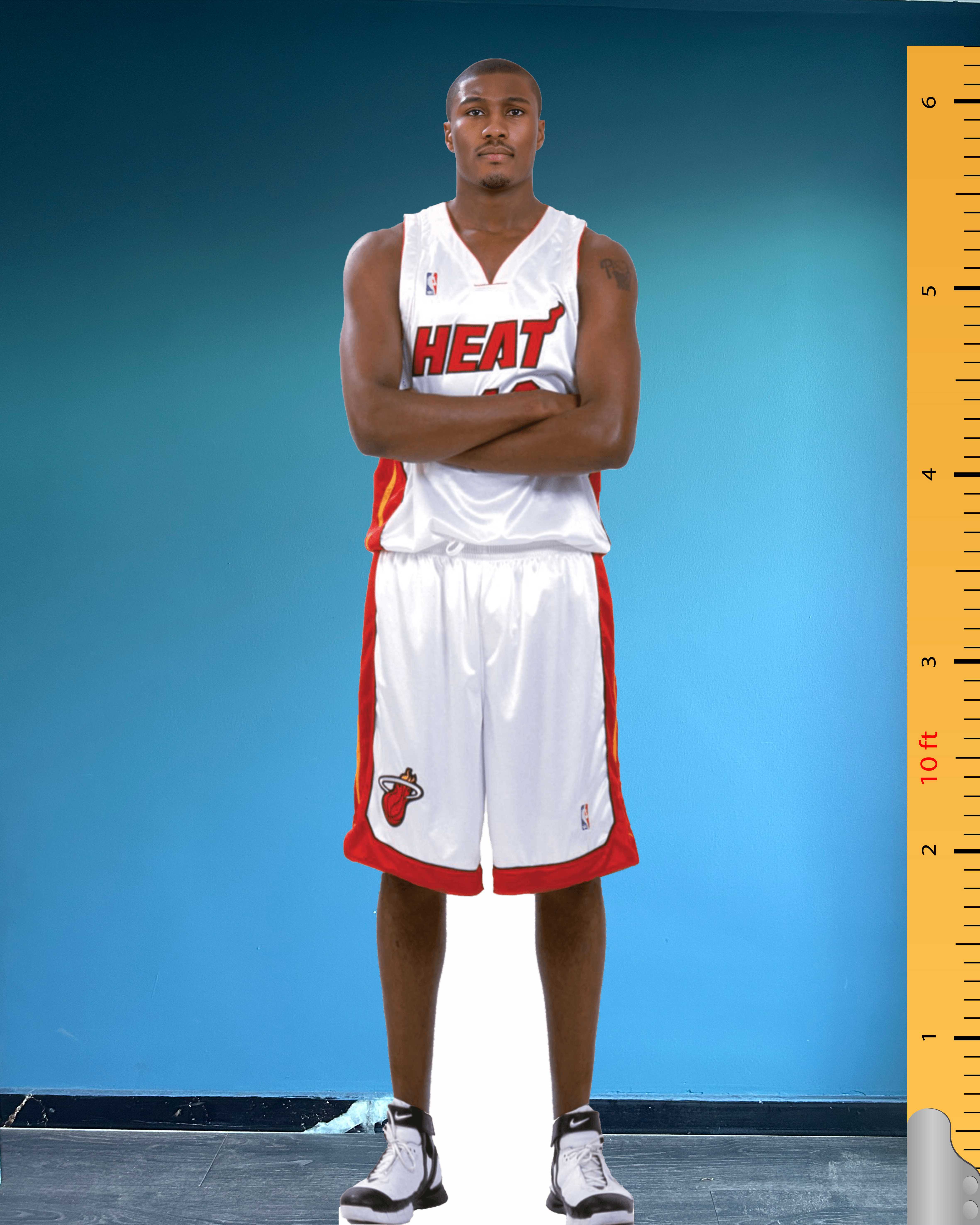 James Posey Life Size Cardboard Cutout Model Celebrity Standee Miami Heat Number 22