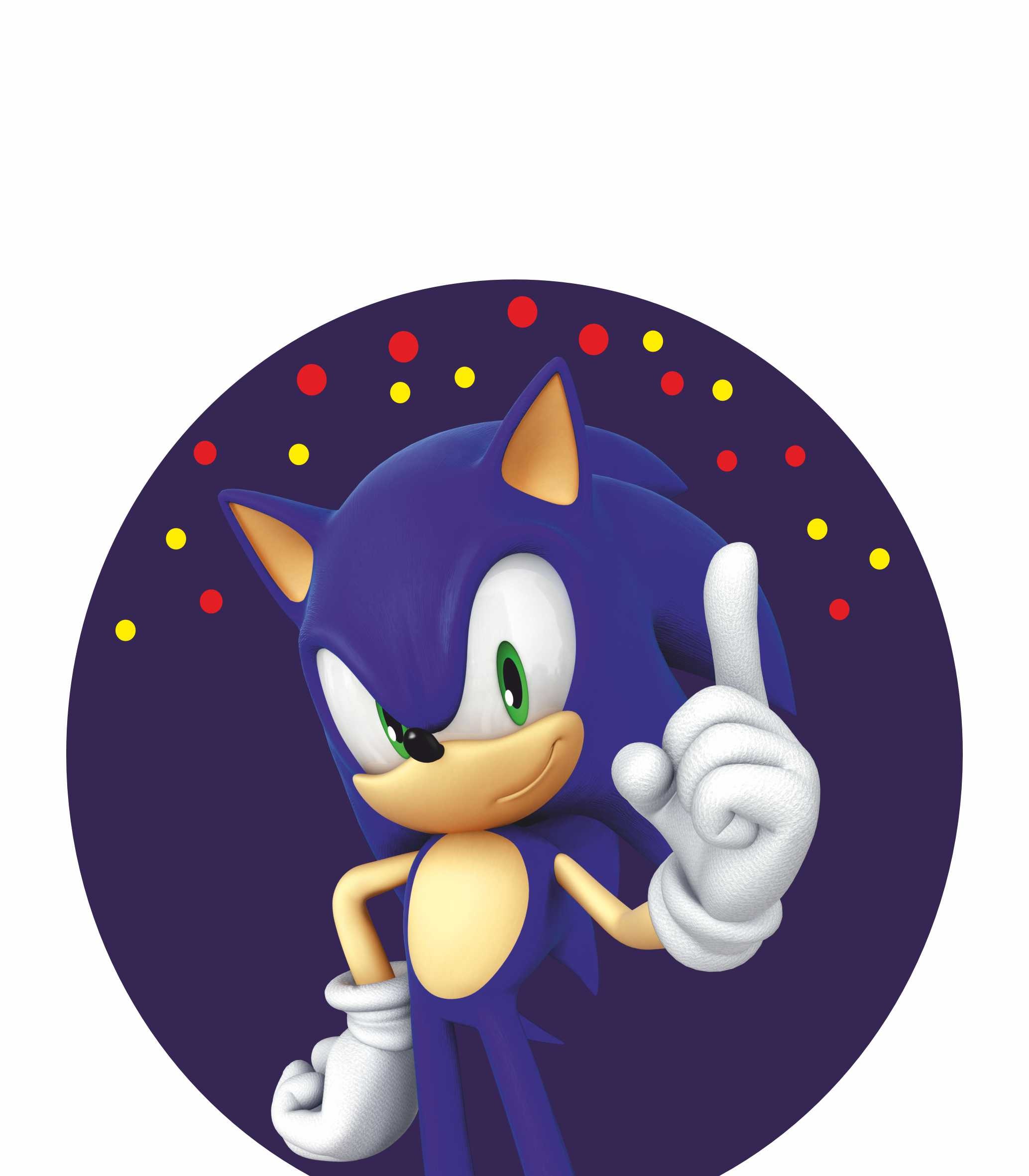 Decoración de plástico de pie con temática de Sonic, cumpleaños, tablero para fiestas