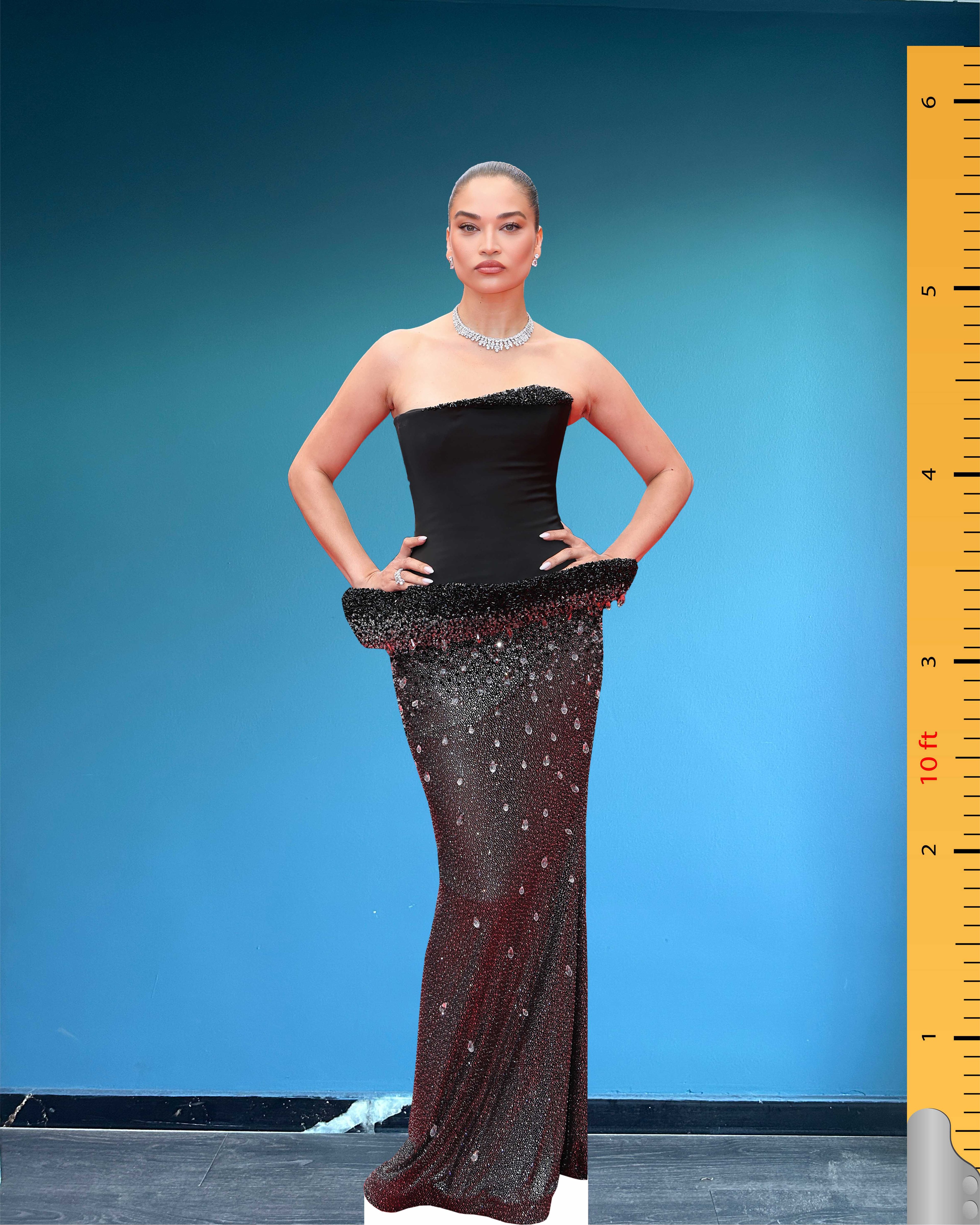 Model wycinany z tektury Shaniny Shaik w naturalnej wielkości, plastikowy model standee