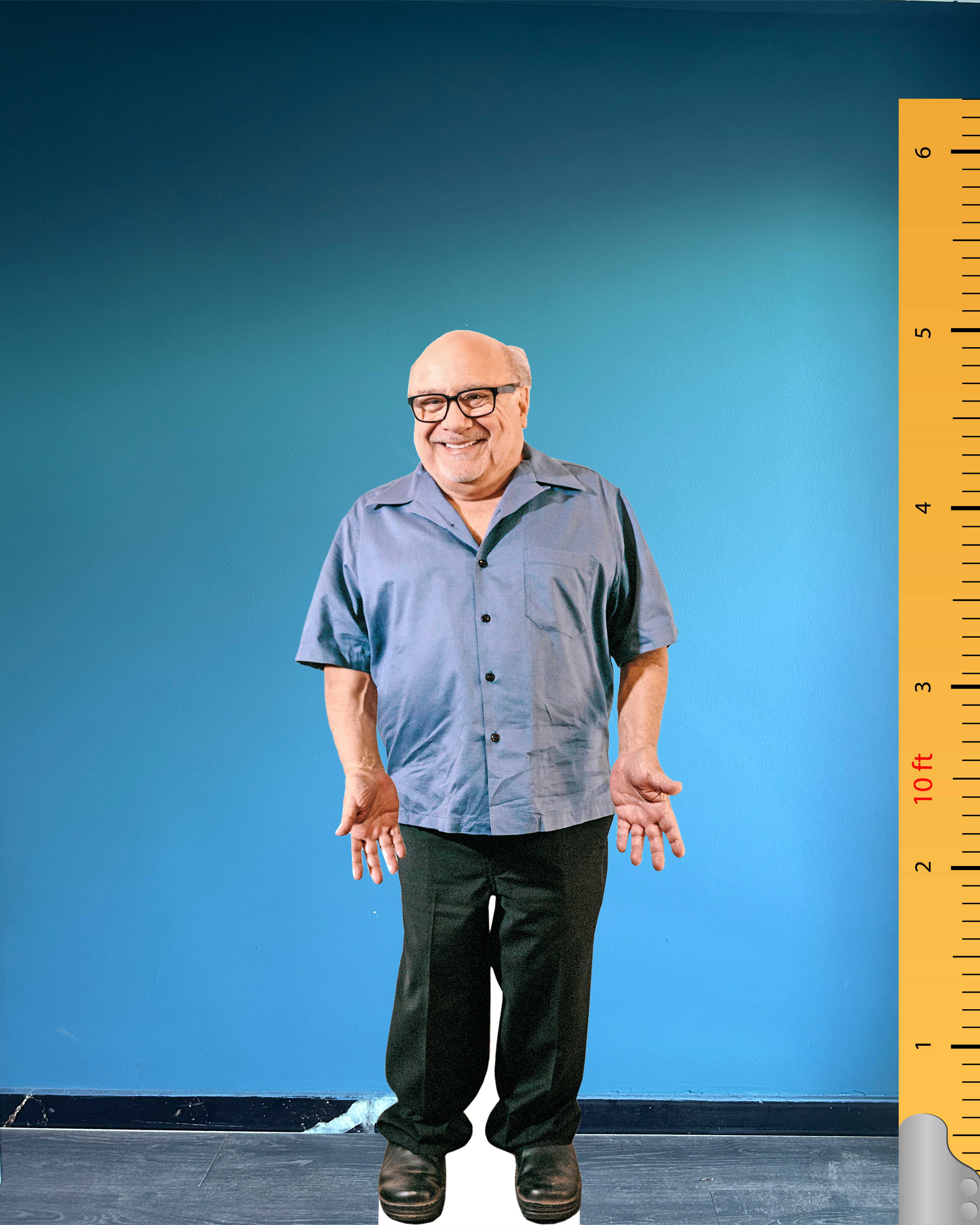 Danny Modl Danny DeVito Cardboard Cutout Model – 🎬 Life Size Standee American ...