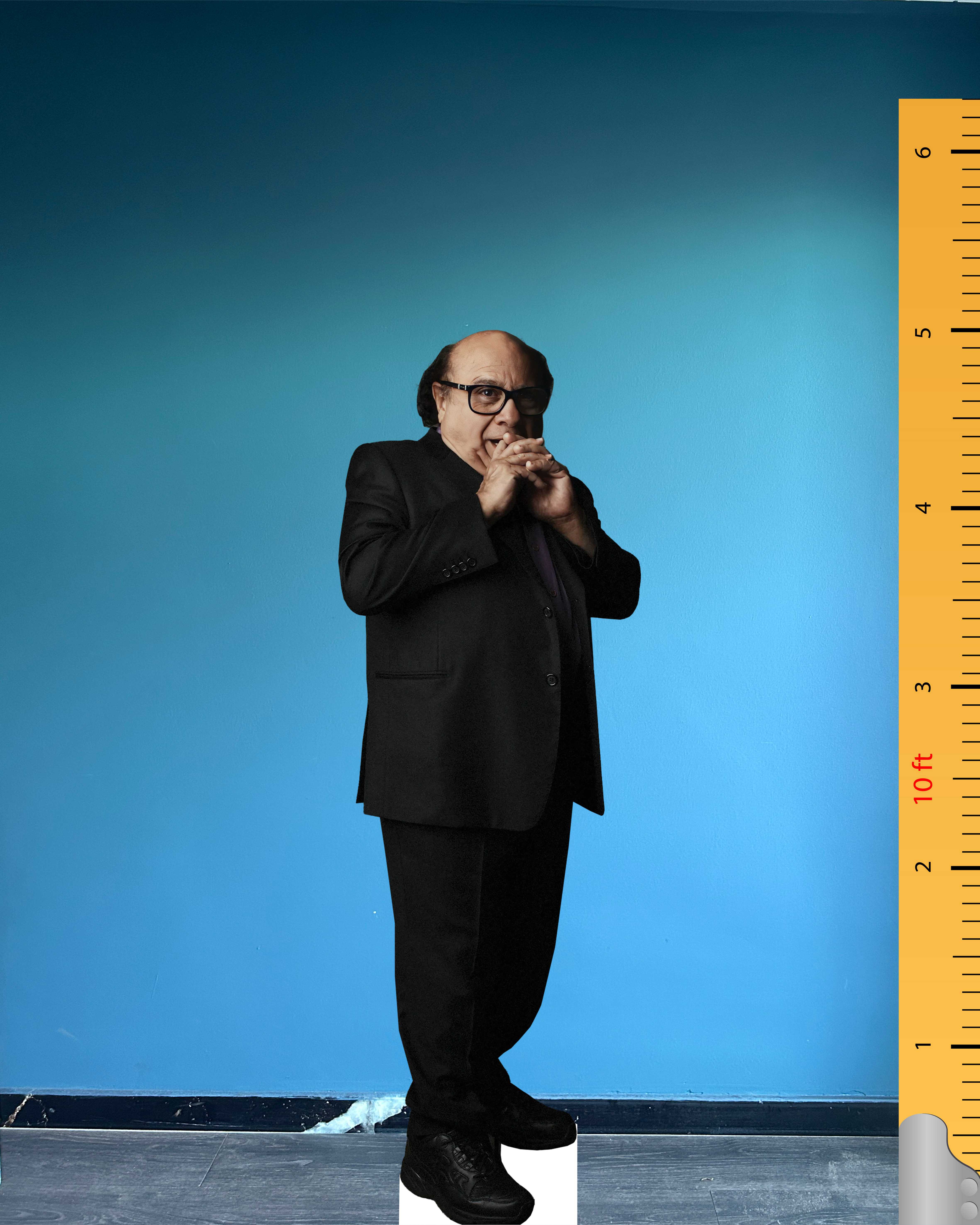 Figura de Cartón de Danny DeVito – 🎬 Standee de Tamaño Real: Edición ...