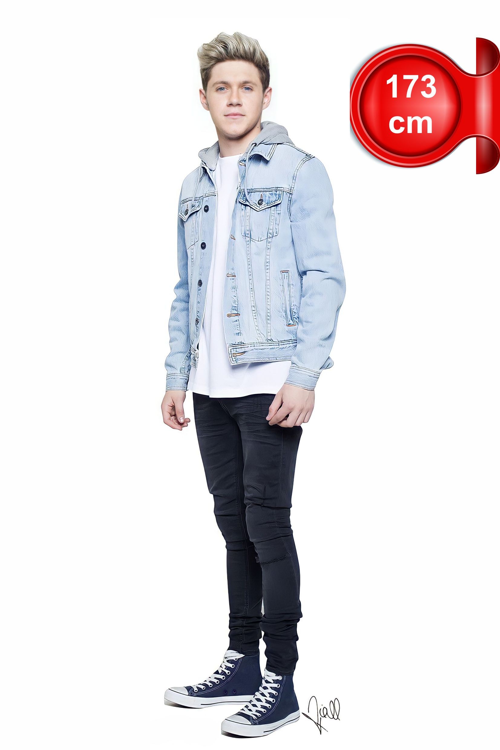 Niall Horan Cutout Lifesize Plastic Standee Model