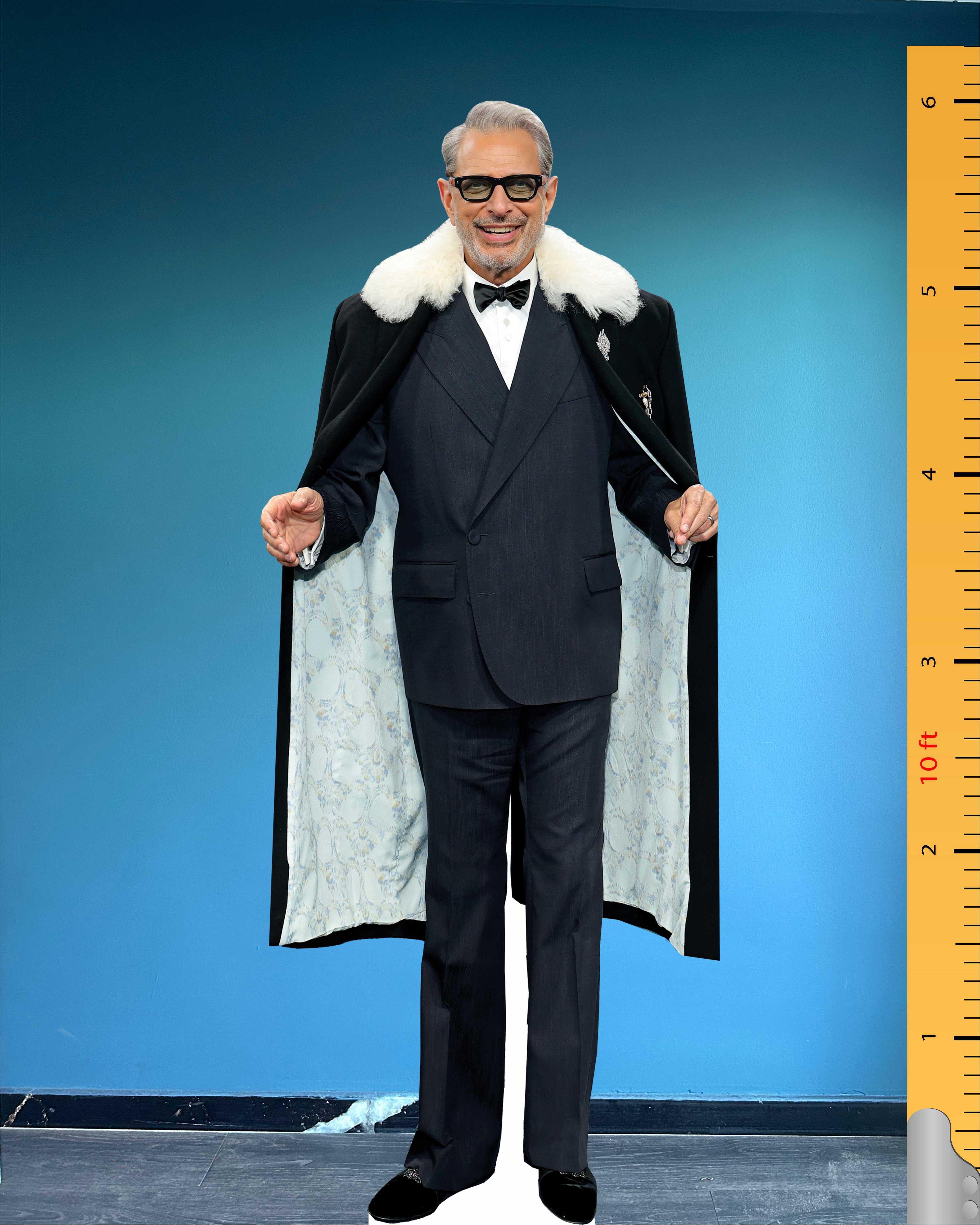 Jeff Goldblum Cardboard Cutout Model Life Size Plastic Standee Model Jeffrey Lynn Goldblum