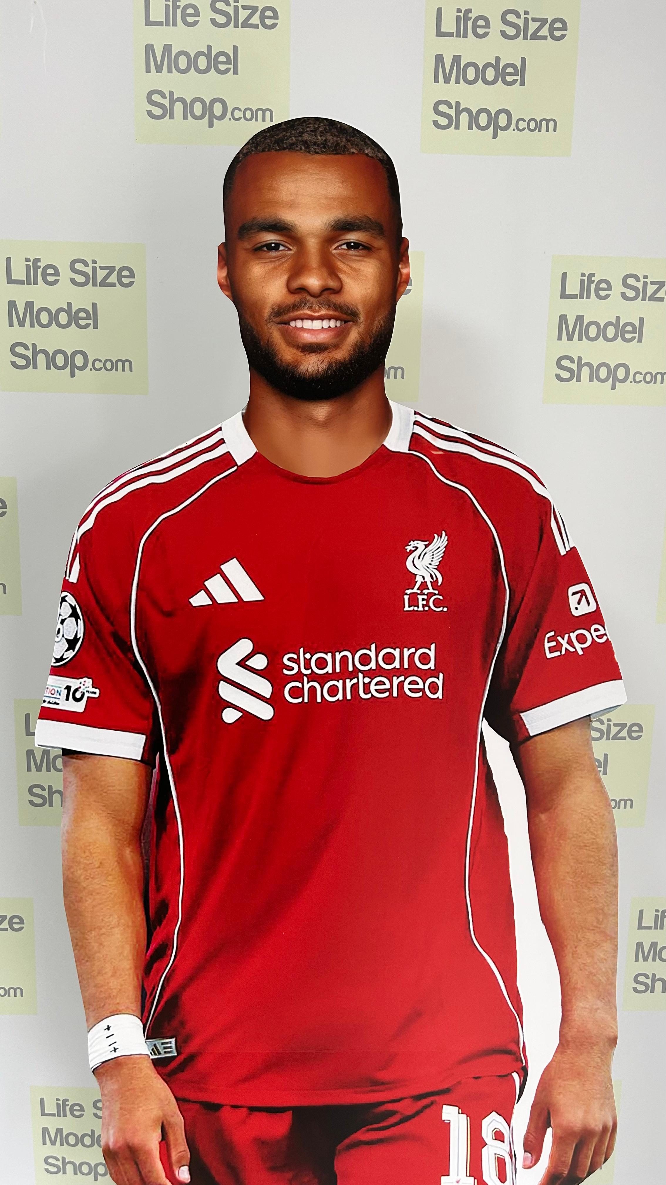 🔴 Cody Gakpo Liverpool FC Life-Size Cardboard Figure - Standee Model