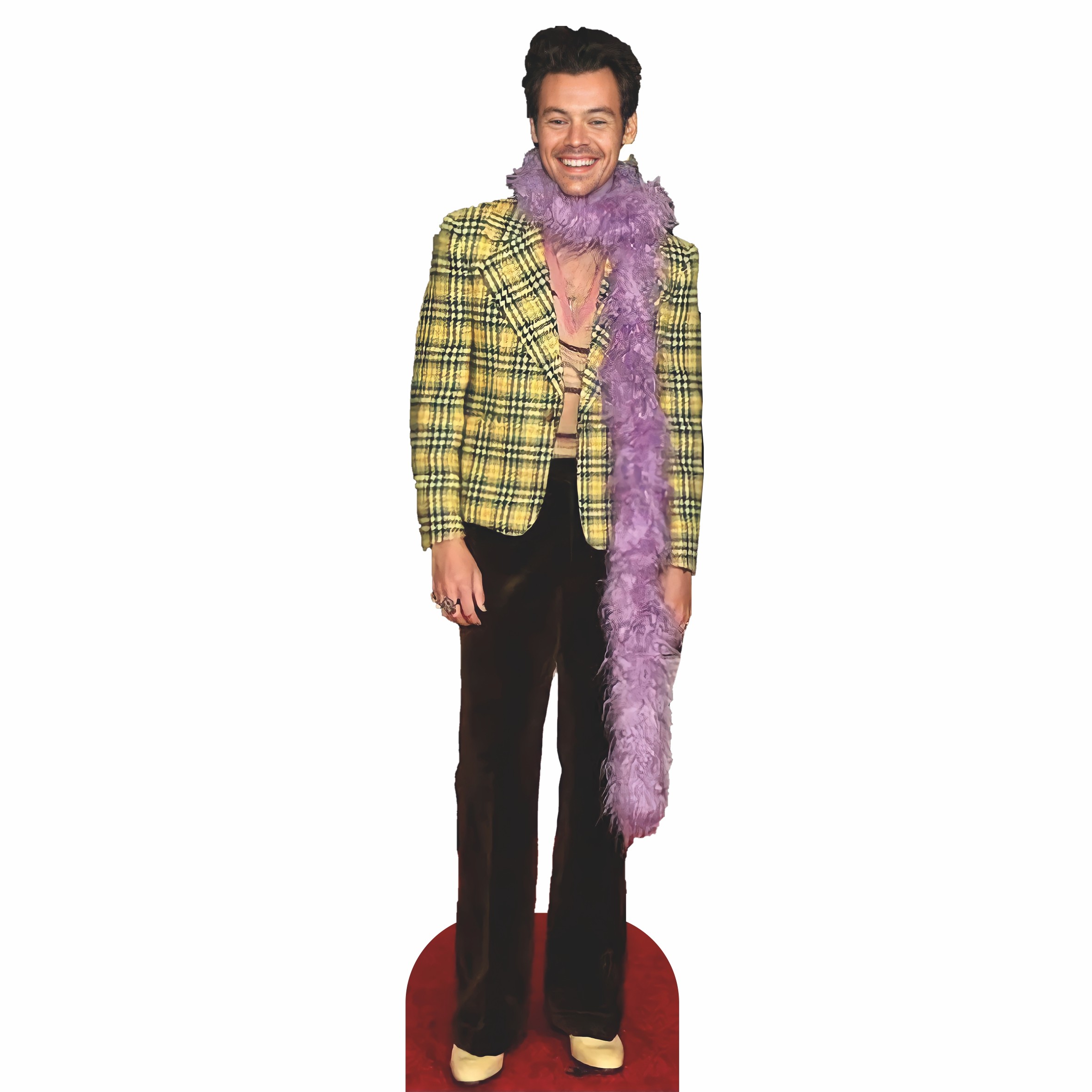 Harry Styles Life Size Cardboard Cutout Model - Life size model shop