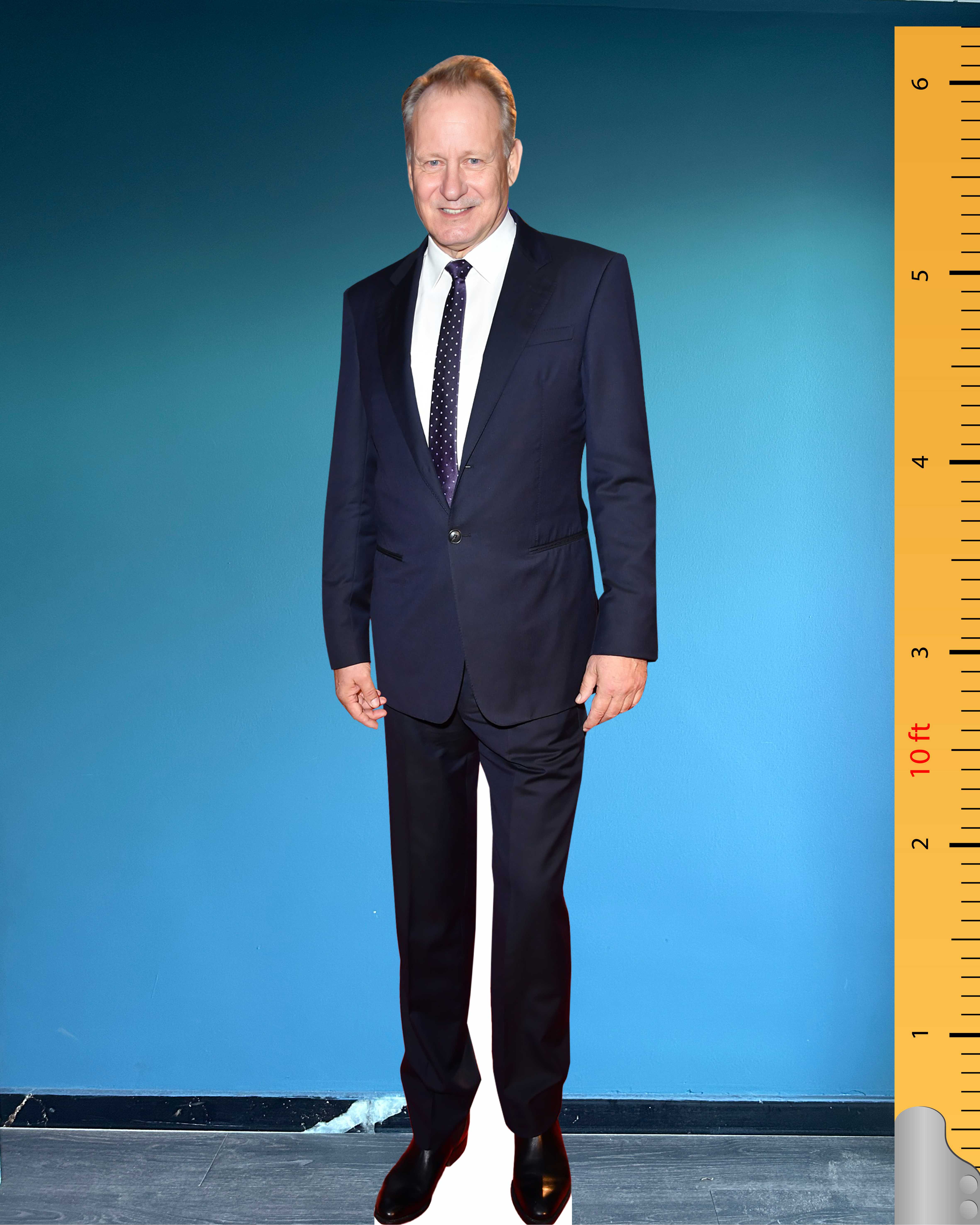 🎬 Kartonowa postać Stellana Skarsgårda w skali 1:1 – Standee celebryty z czerwonego dywanu