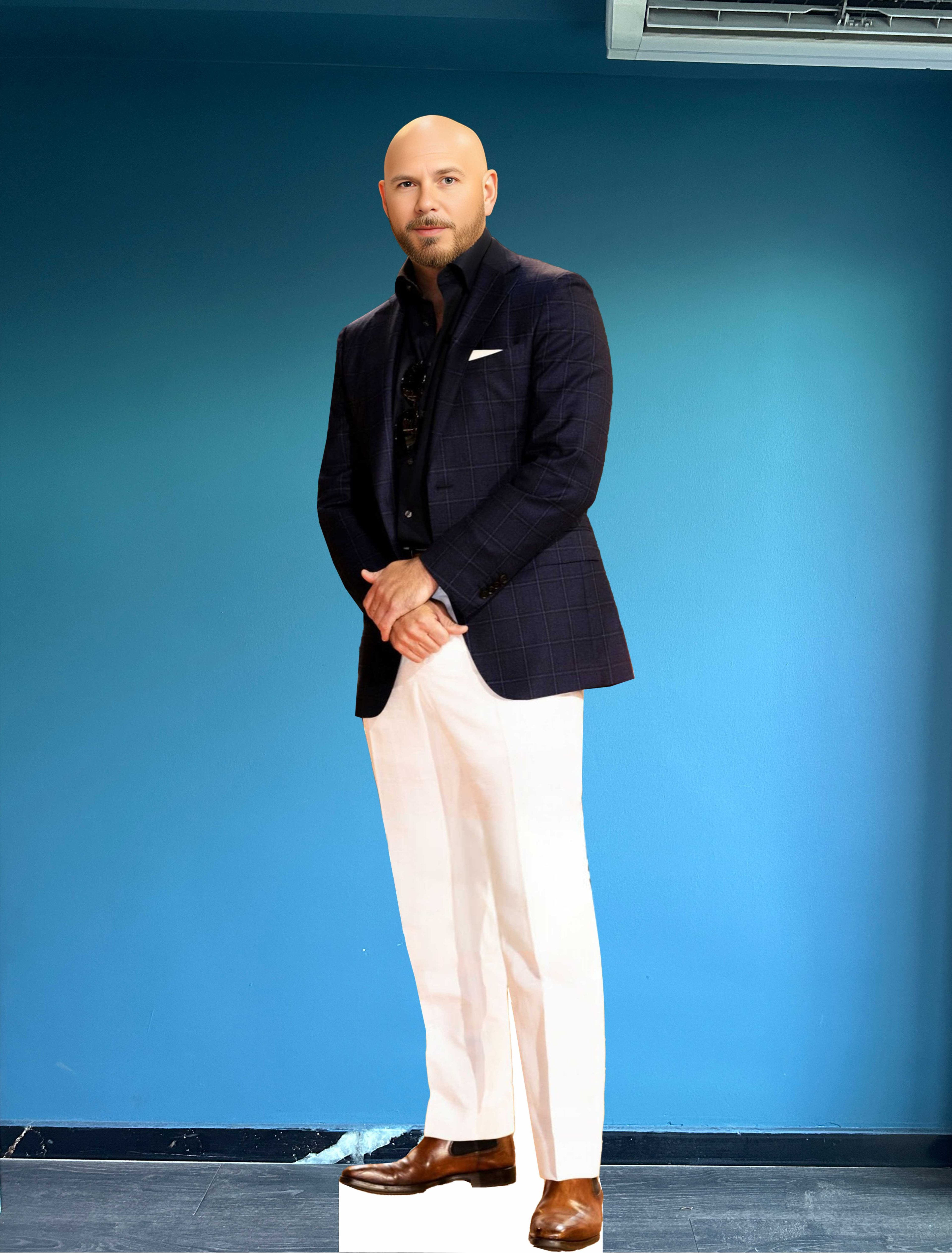 Pitbull The Rapper Cardboard Cutout Model Life Size Armando Christian Rafael Pérez Plastic Standee Model