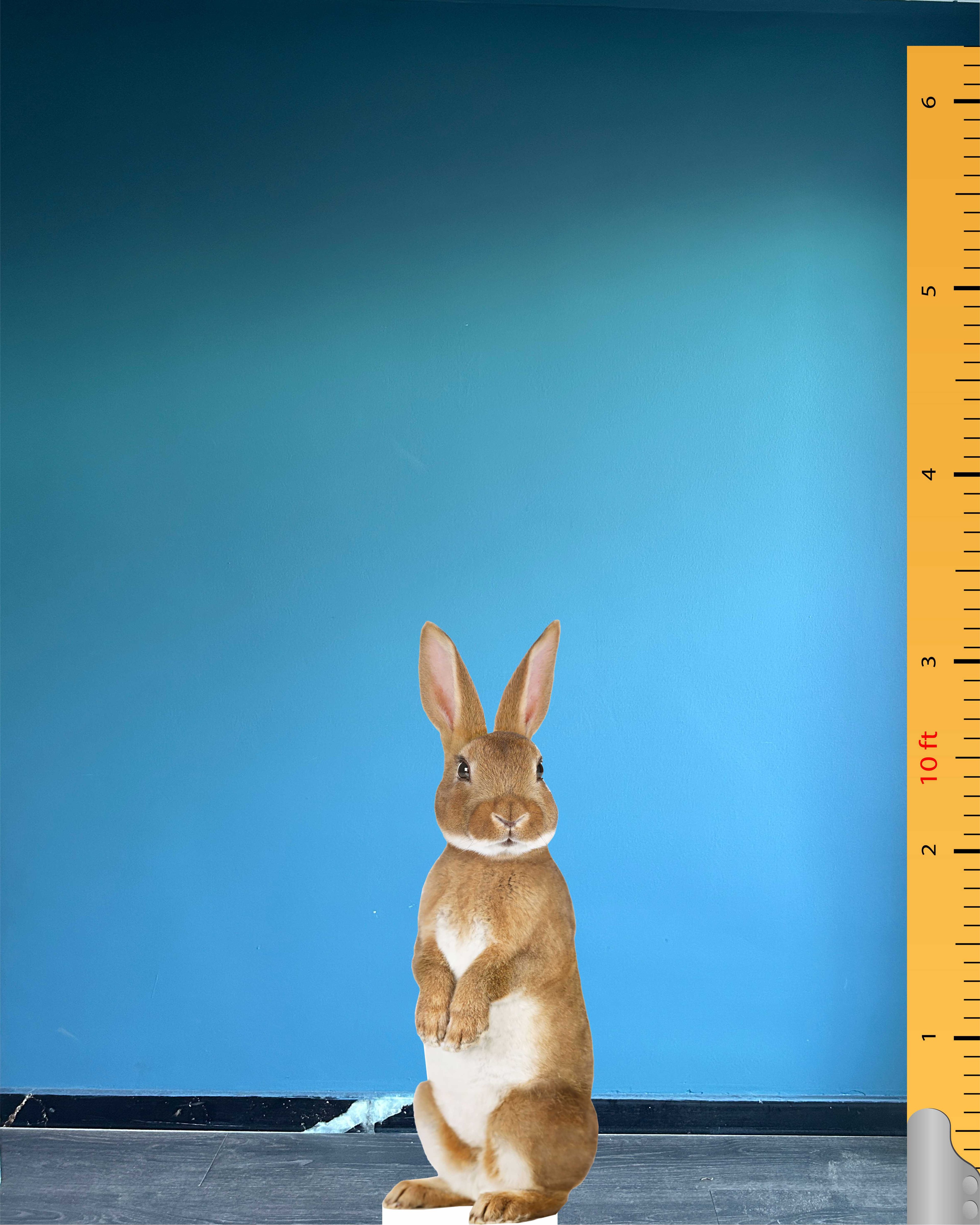 Rabbit Cardboard Cutout Model Animal Standee Cute Rabbit Plastic Figure