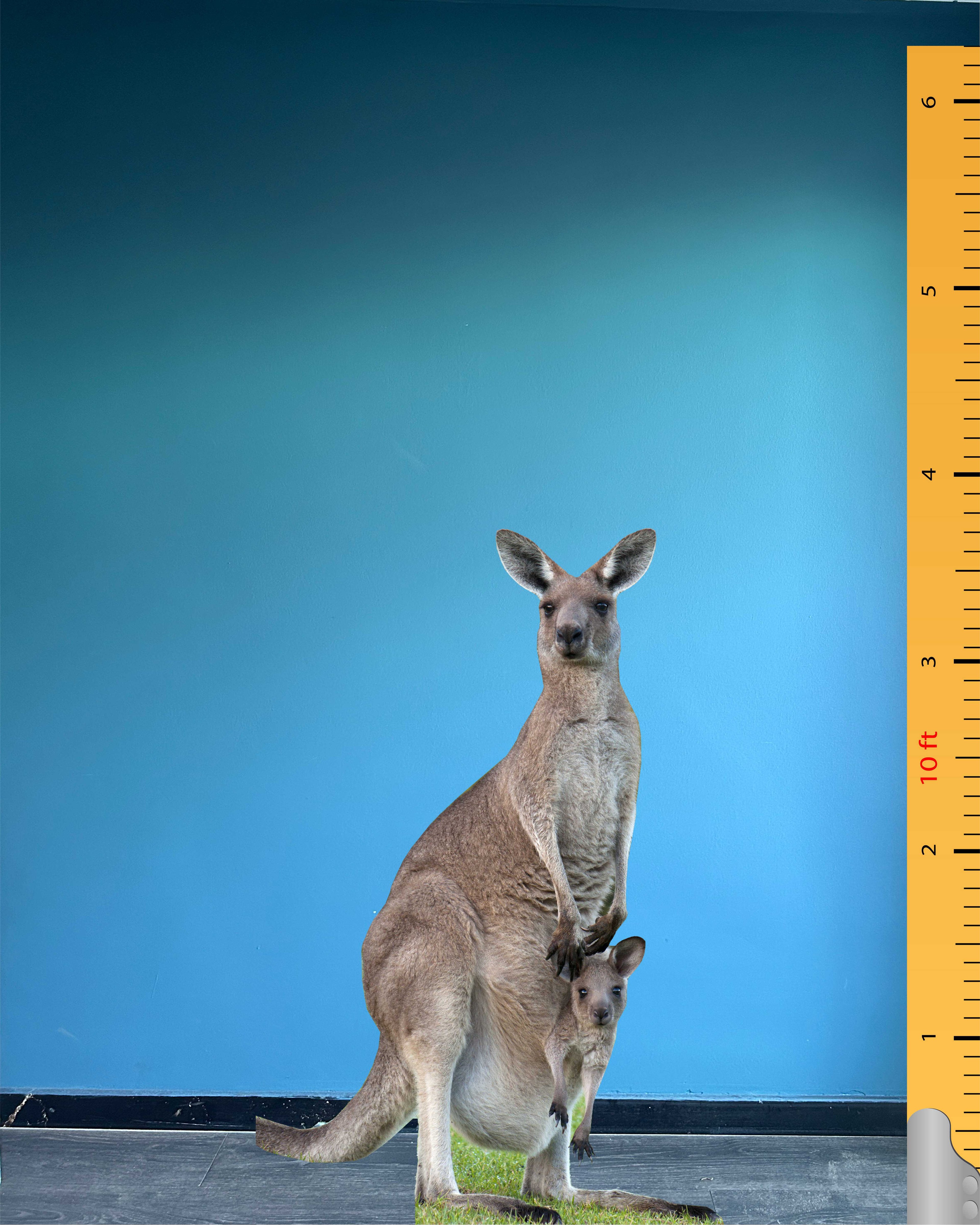 Kangaroo Cardboard Cutout Model Animal Standee Plastic Figure