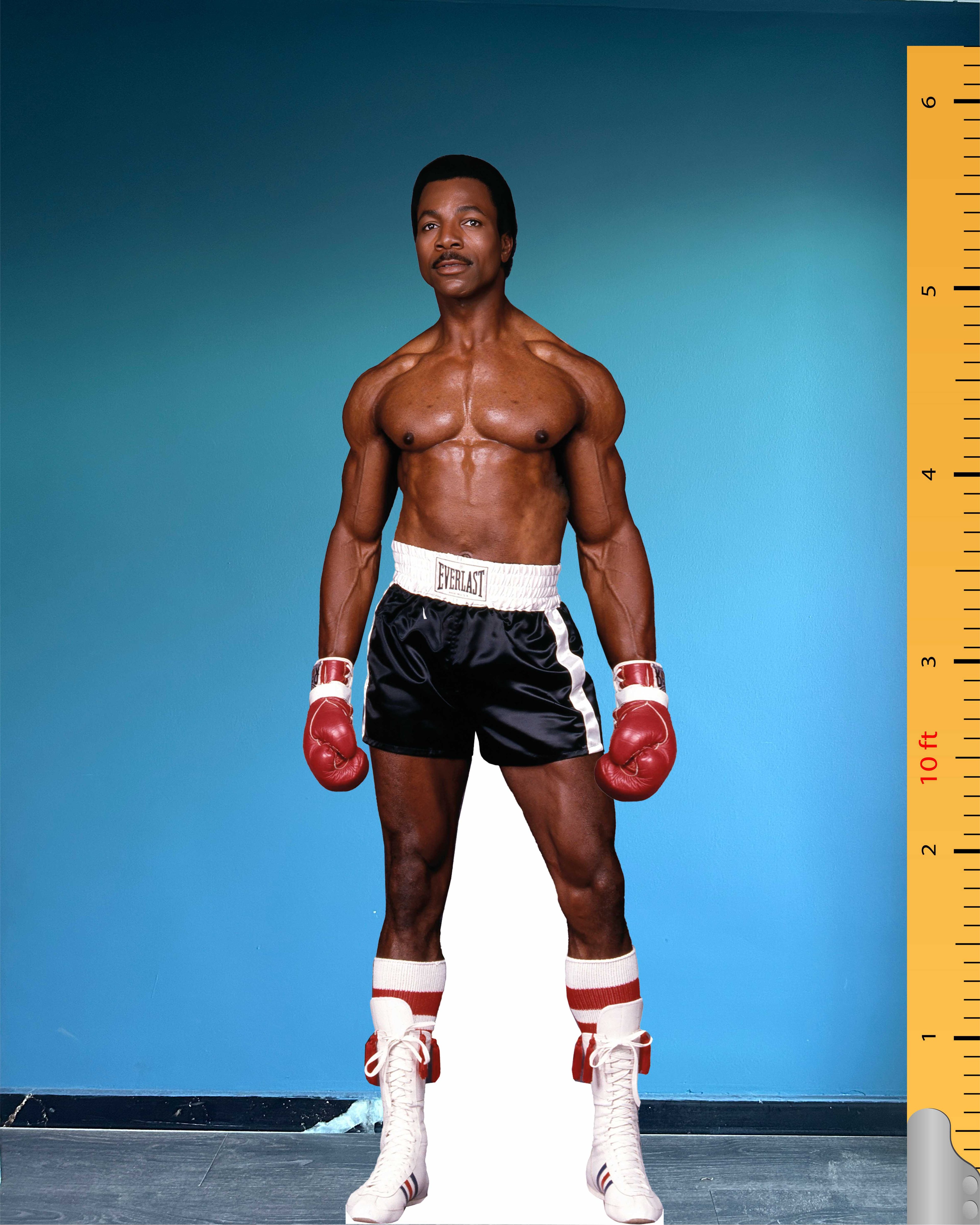 Carl Weathers Pappaufsteller Modell Apollo Creed Rocky Pappaufsteller