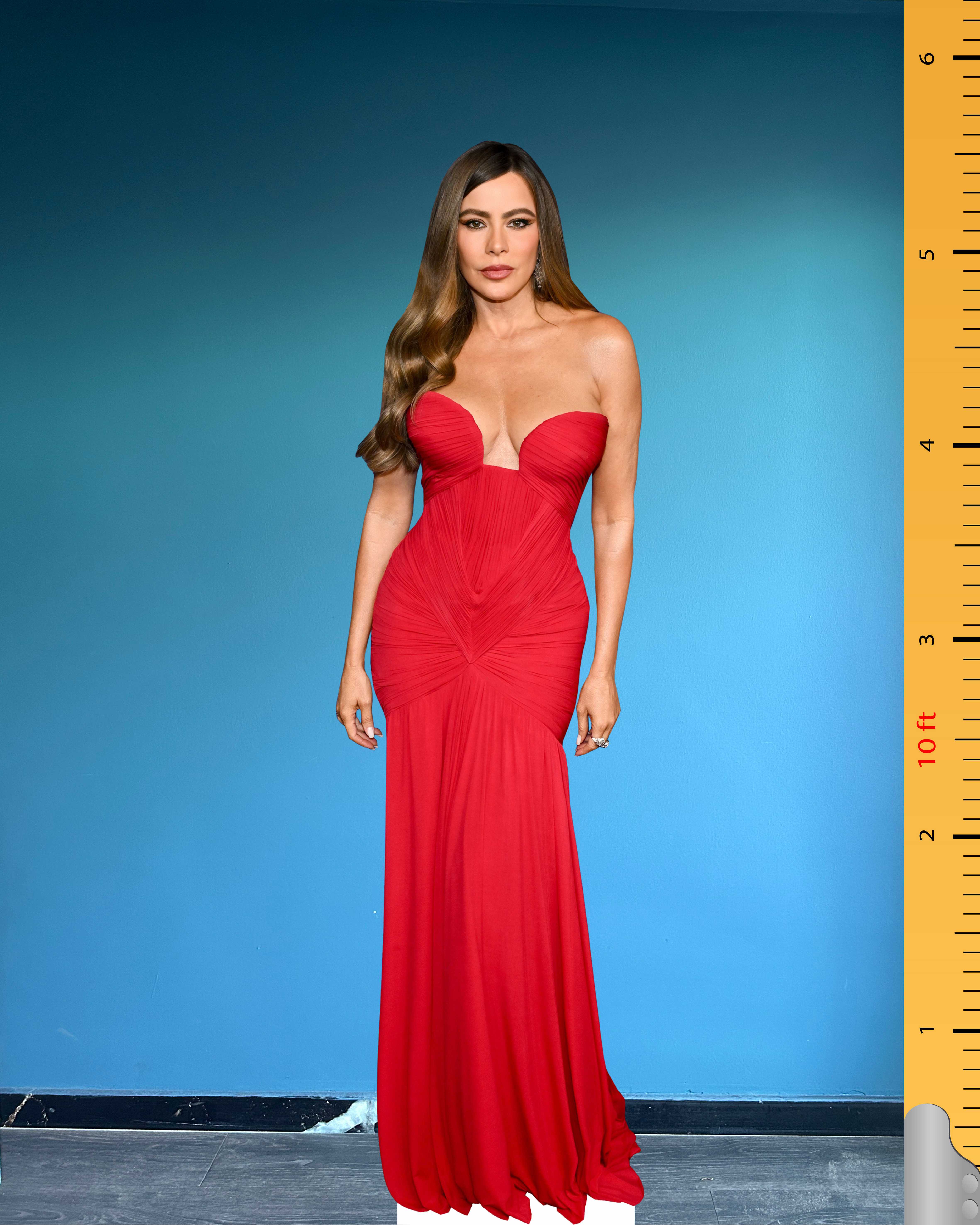 ✨ Sofía Vergara Cardboard Figure – Life-Size 76th Primetime Emmy Awards Red Carpet Standee Model