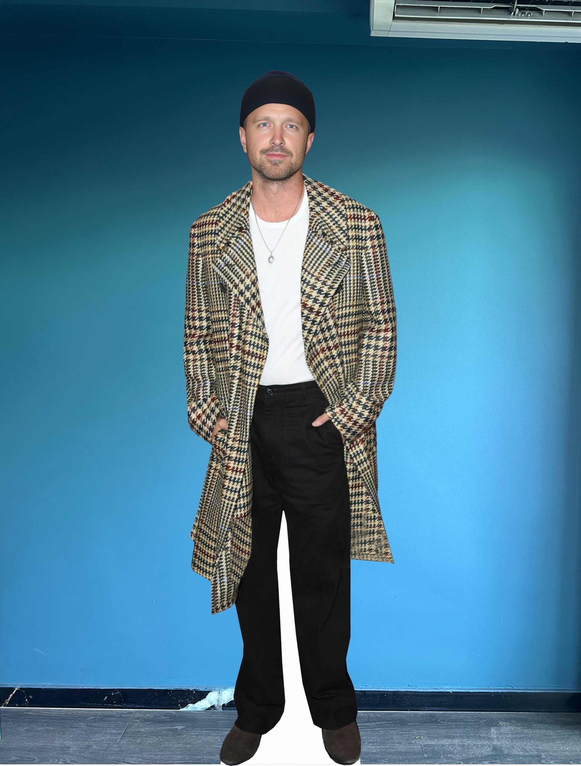 Aaron Paul Cardboard Cutout Model Celebrity Model