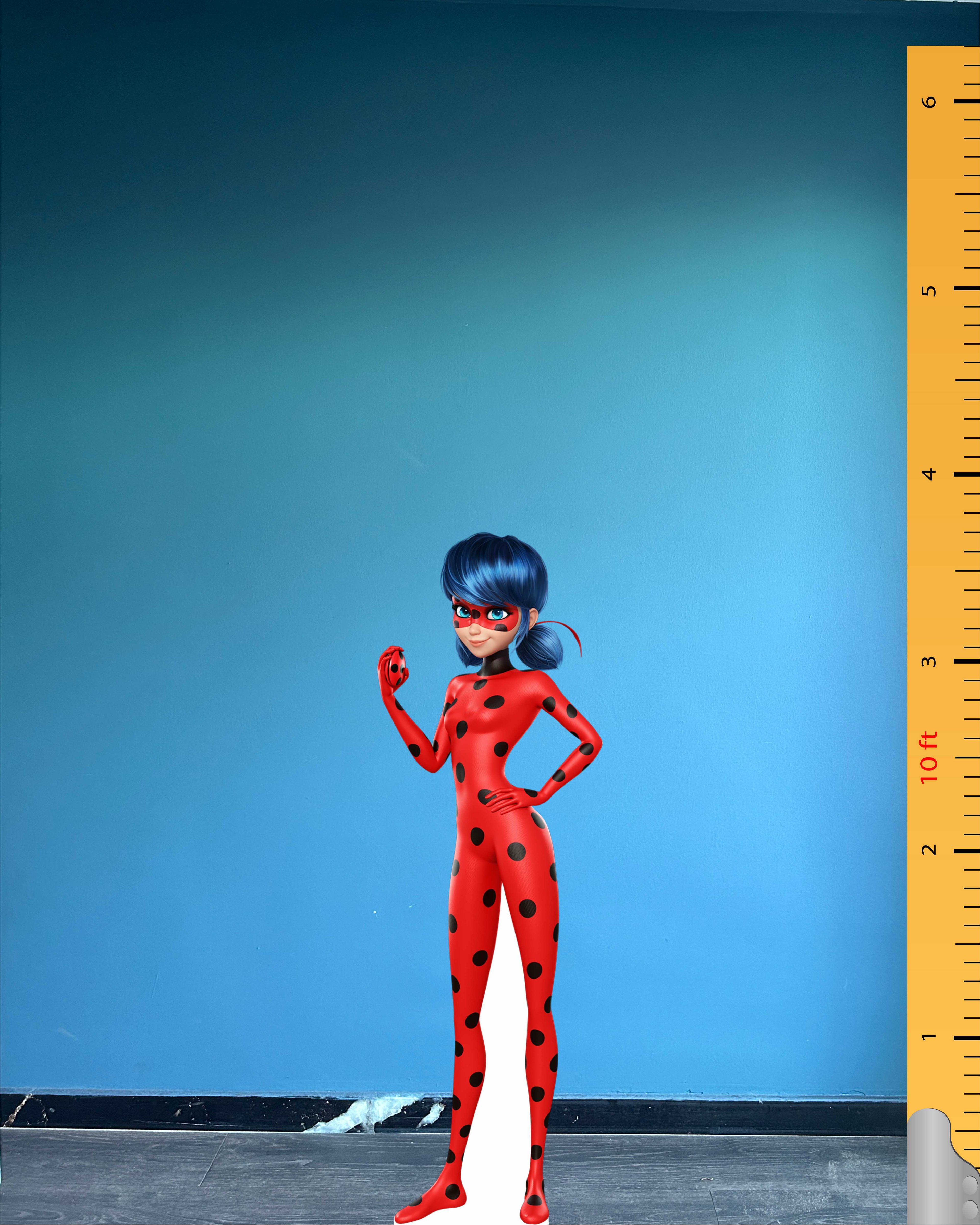 Miraculous Ladybug Cardboard Cutout Model Fictional Character Plastic Standee Figure