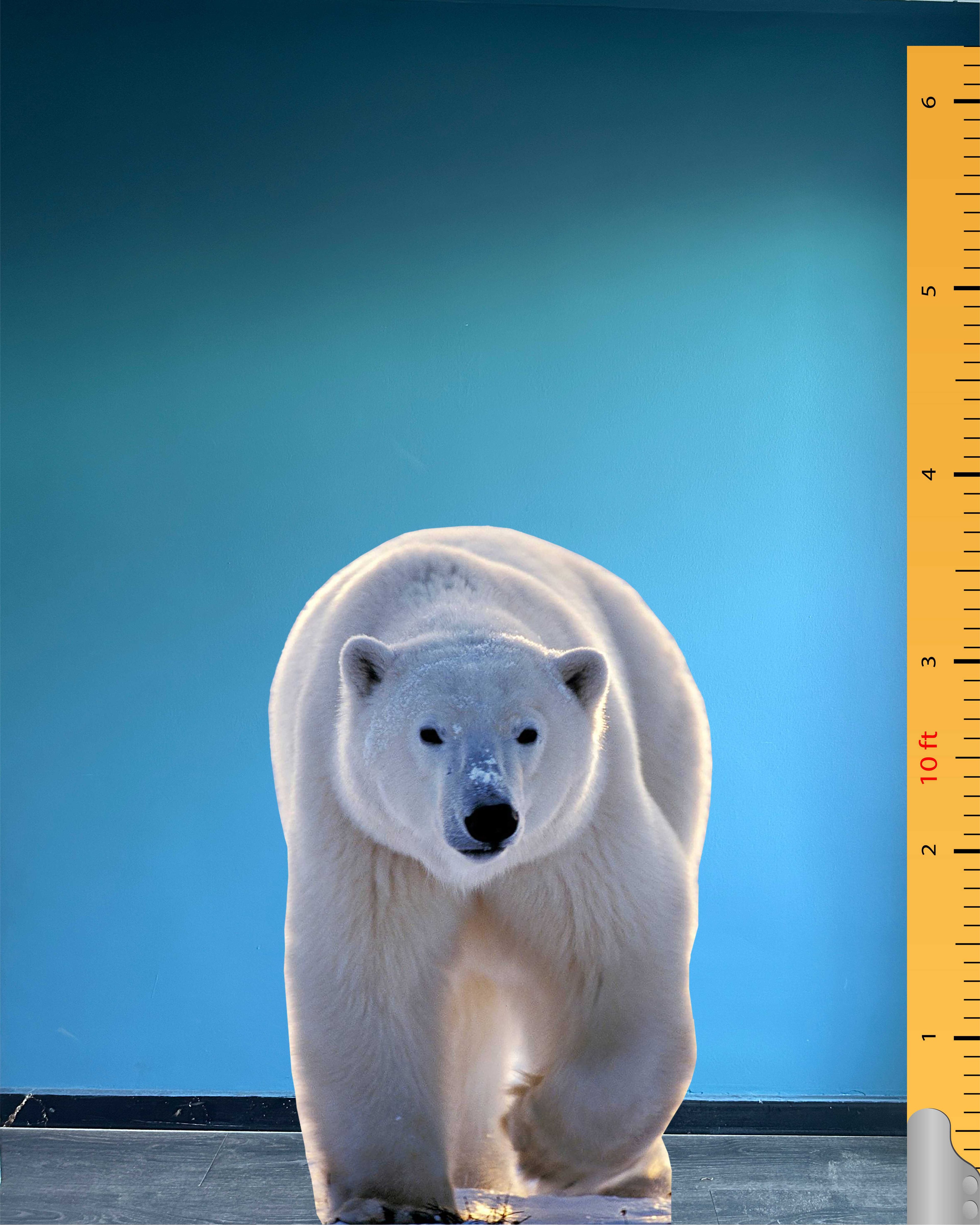 Polar Bear Cardboard Cutout Model Animal Standee Plastic Figure