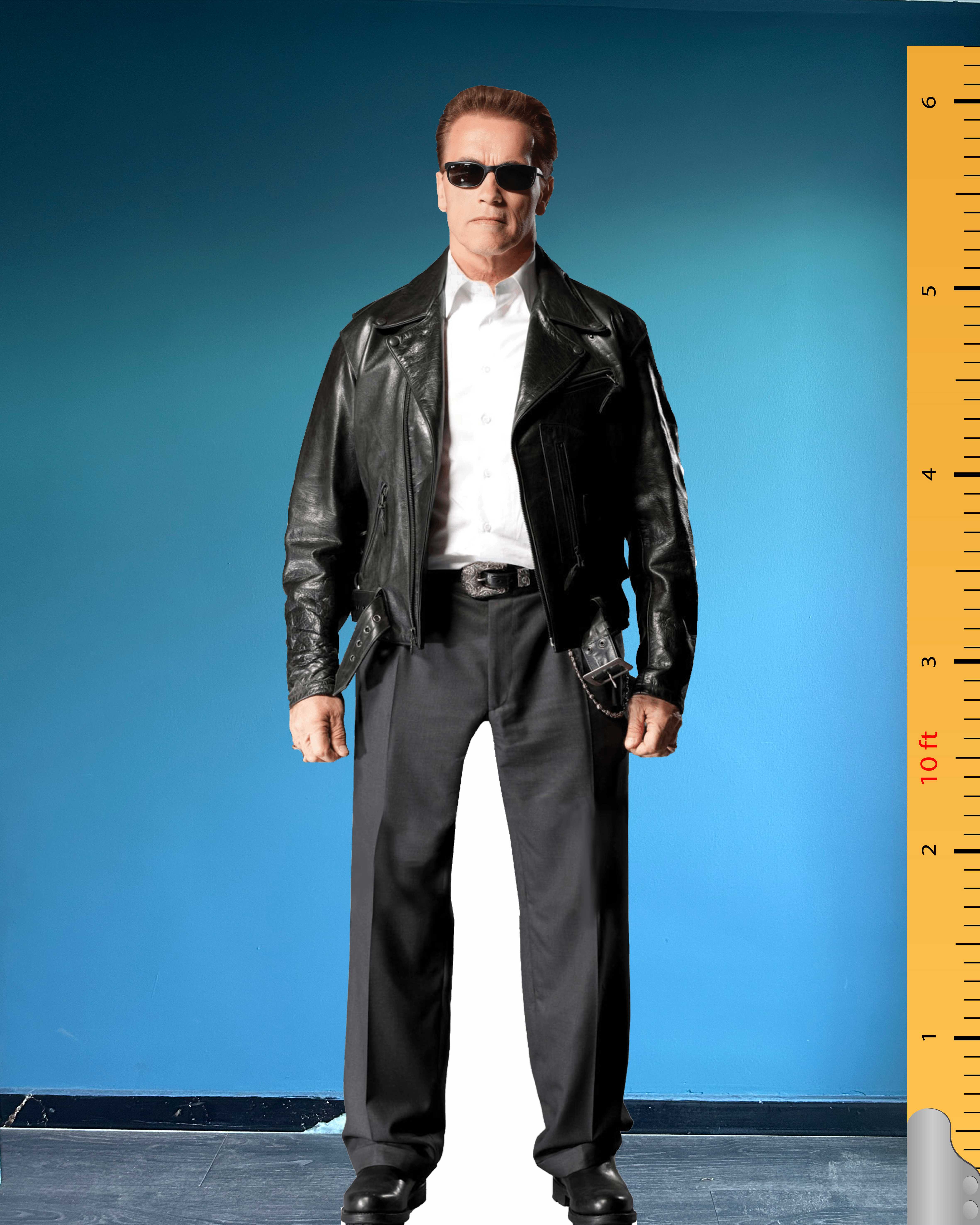Arnold Schwarzenegger Life Size Cardboard Cutout Model Standee Plastic Celebrity Cutouts