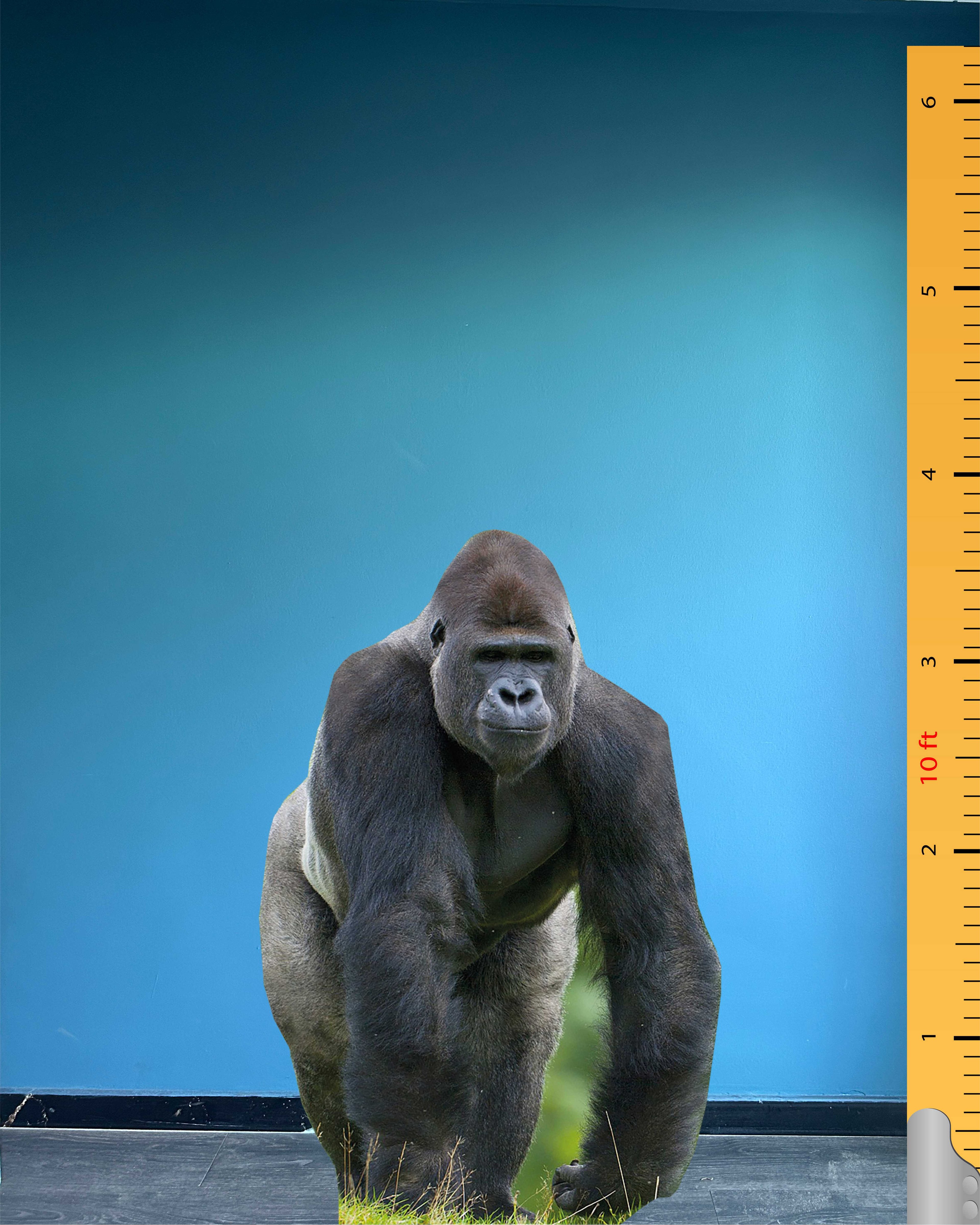 Gorilla Cardboard Cutout Model Animal Standee Plastic Figure