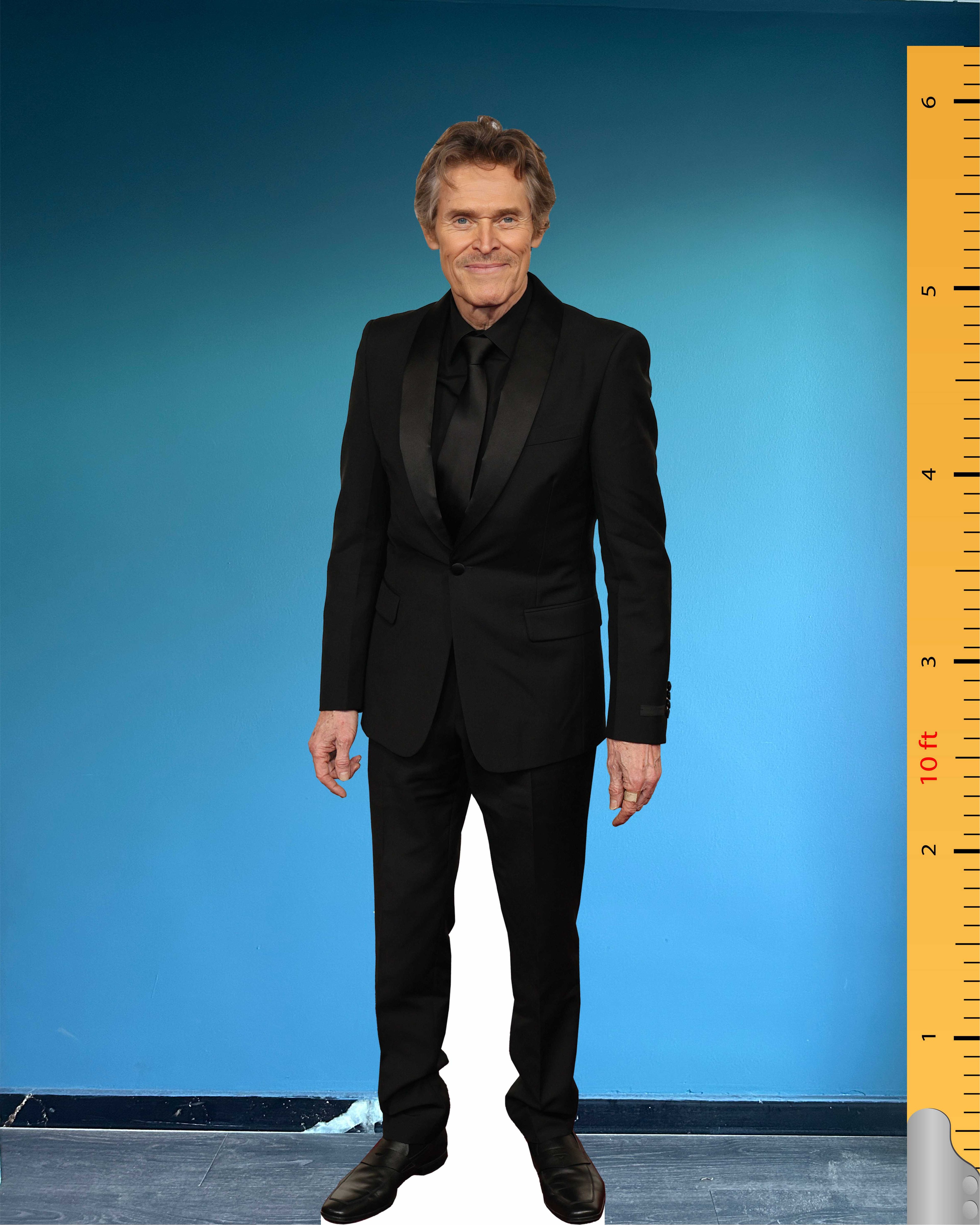Willem Dafoe Cardboard Cutout Model Life Size Plastic Standee Model Willem James Dafoe