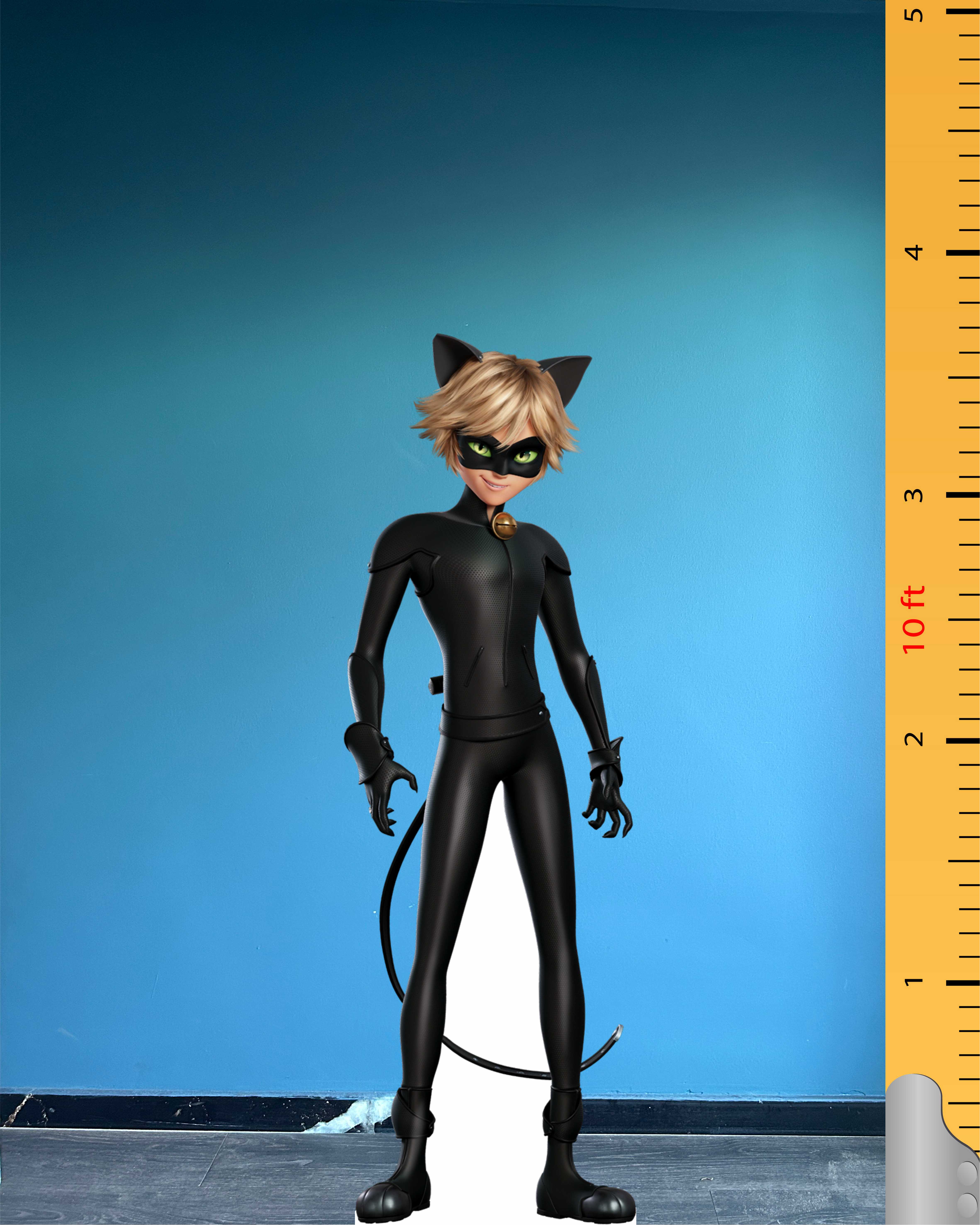 Modello di sagoma di cartone di Cat Noir, personaggio immaginario, figura in piedi in plastica
