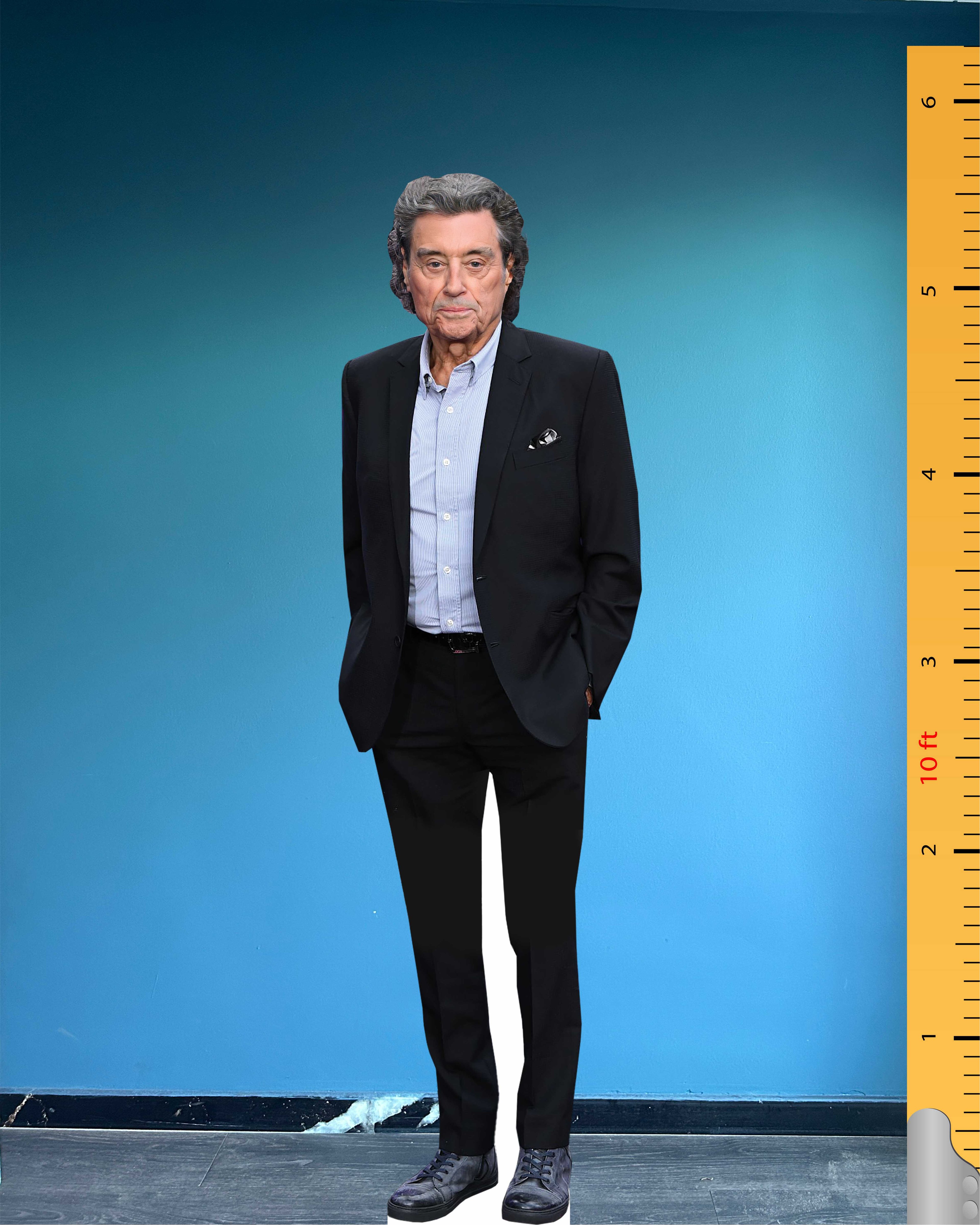 Ian McShane Cardboard Cutout Model Life Size Plastic Standee Model Ian David McShane